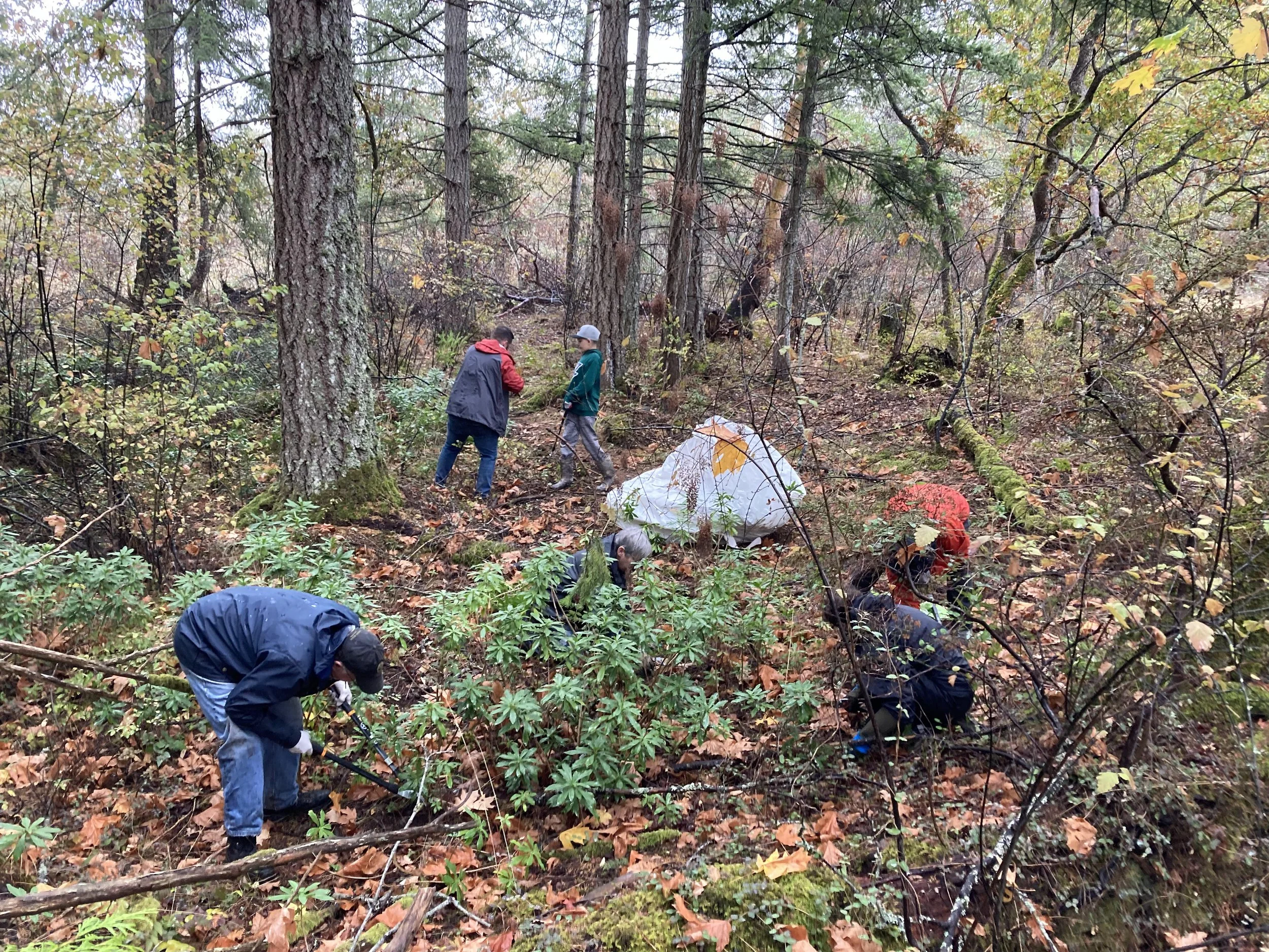 Oak Haven Park — Habitat Acquisition Trust