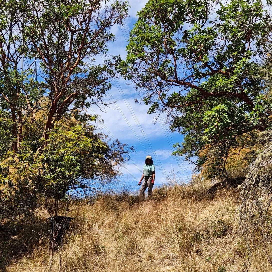 Summer as the Wildlife Stewardship Intern