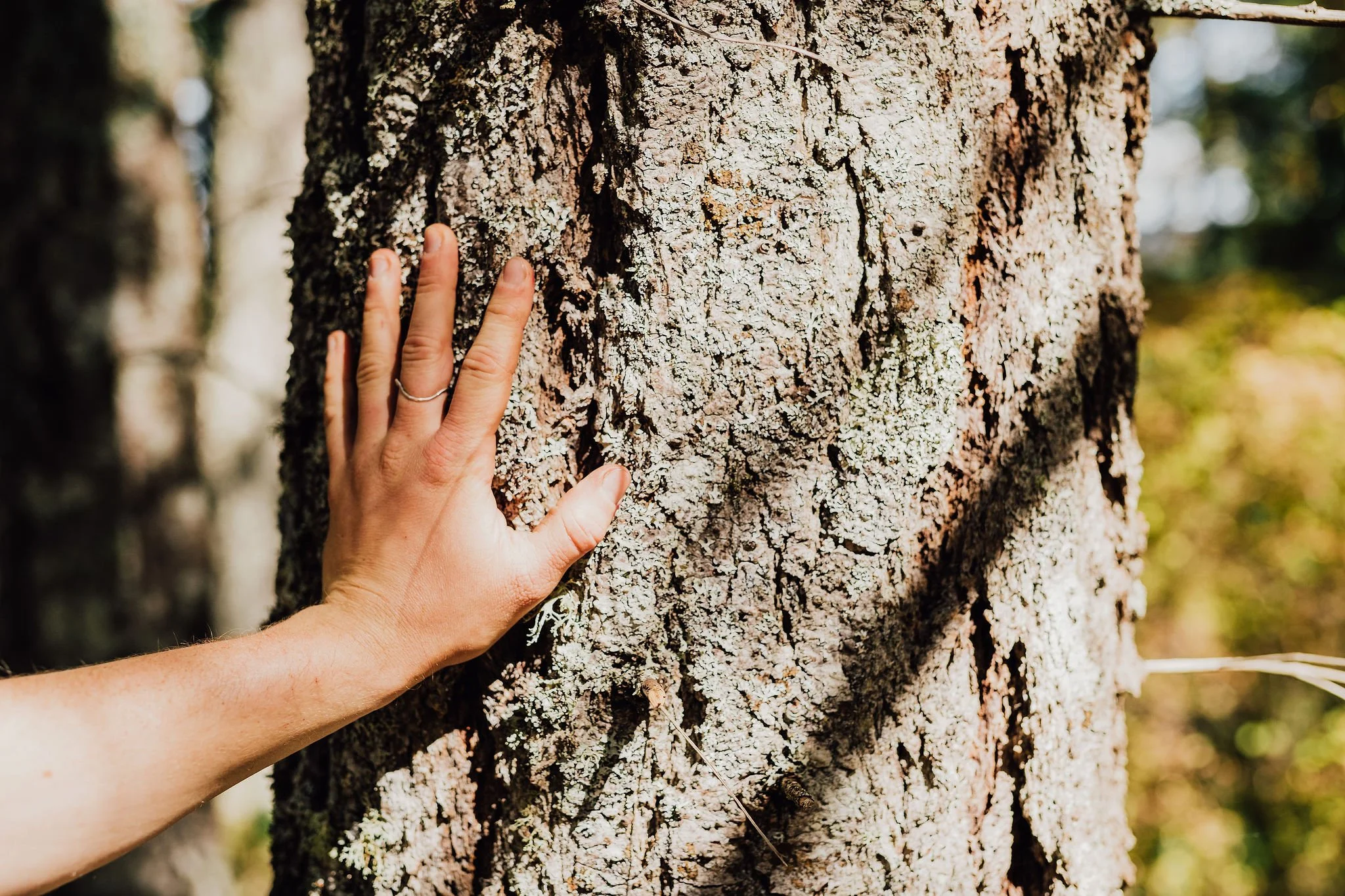 Oak Haven Park — Habitat Acquisition Trust