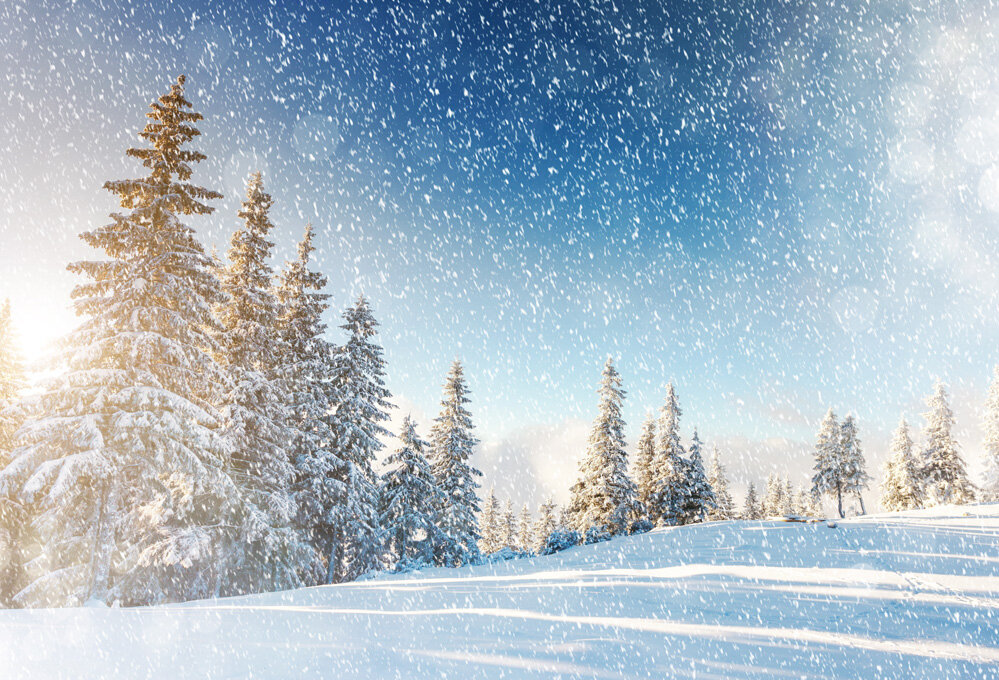 0096_greenscreen_KATE-Winter-Photography-Background-Snowflake-Fall-Scenery-Backgrounds-Snowstorm-Forest-Spot-Backdrop-For-Children-Photo-Shoot copy.jpg