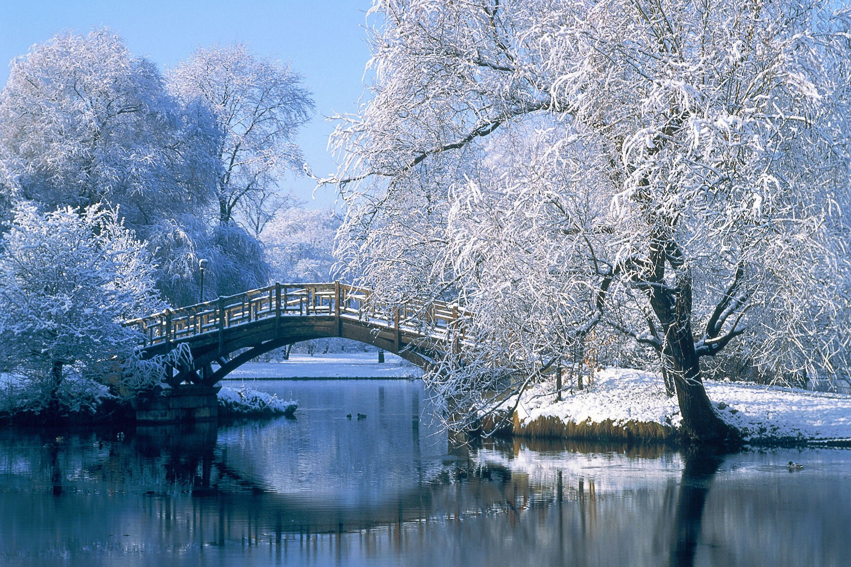 0095_greenscreen_winter-landscape-background-image-hd-desktop-wallpaper copy.jpg