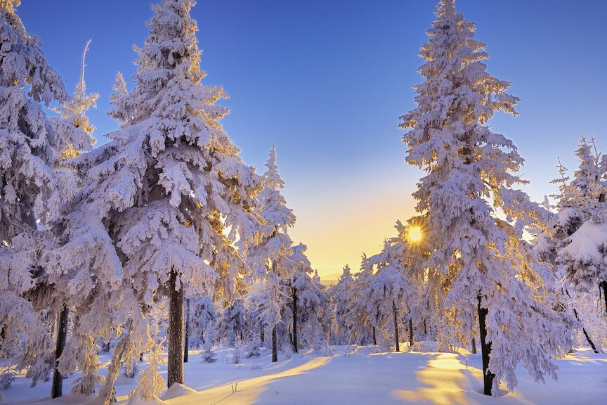 0100_greenscreen_germany-winter-landscape-new-hd-wallpaper-free-nature-picture copy.jpg