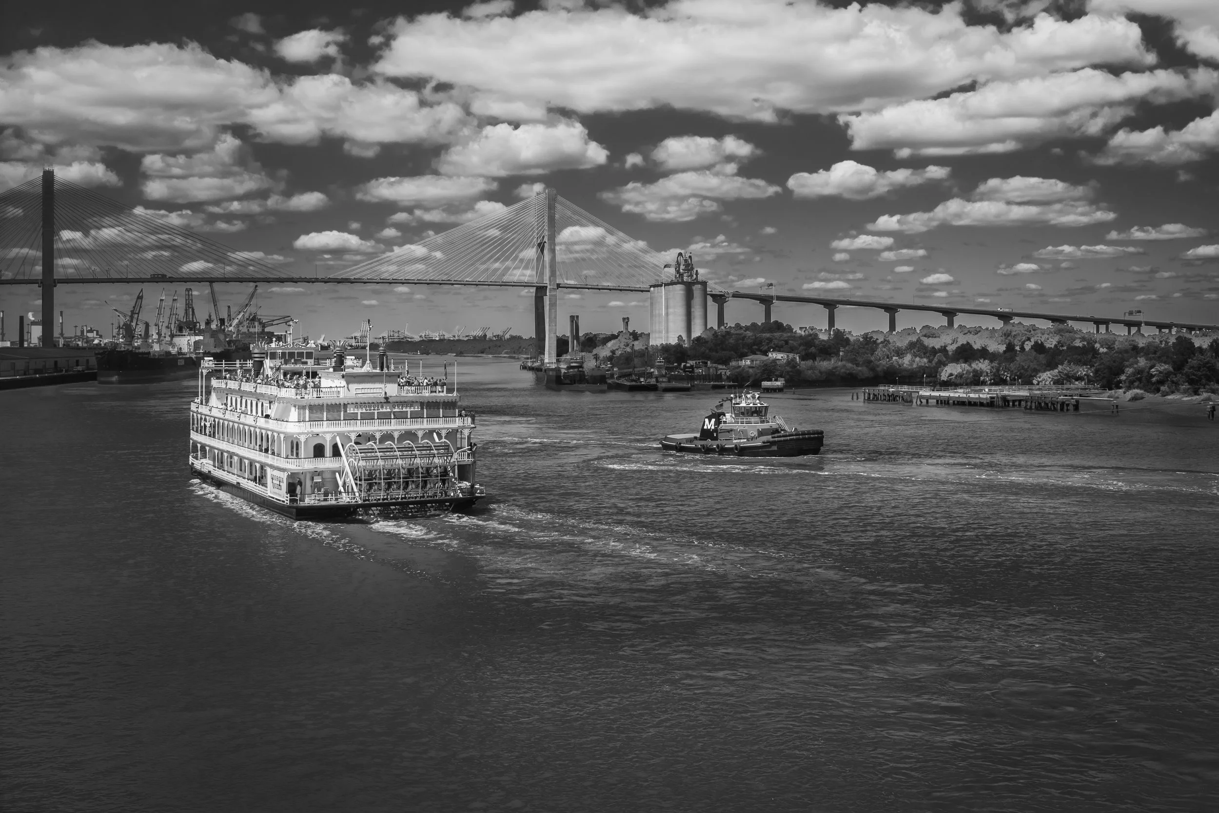 Paddle Wheeler on the Savannah River, Savannah, Georgia