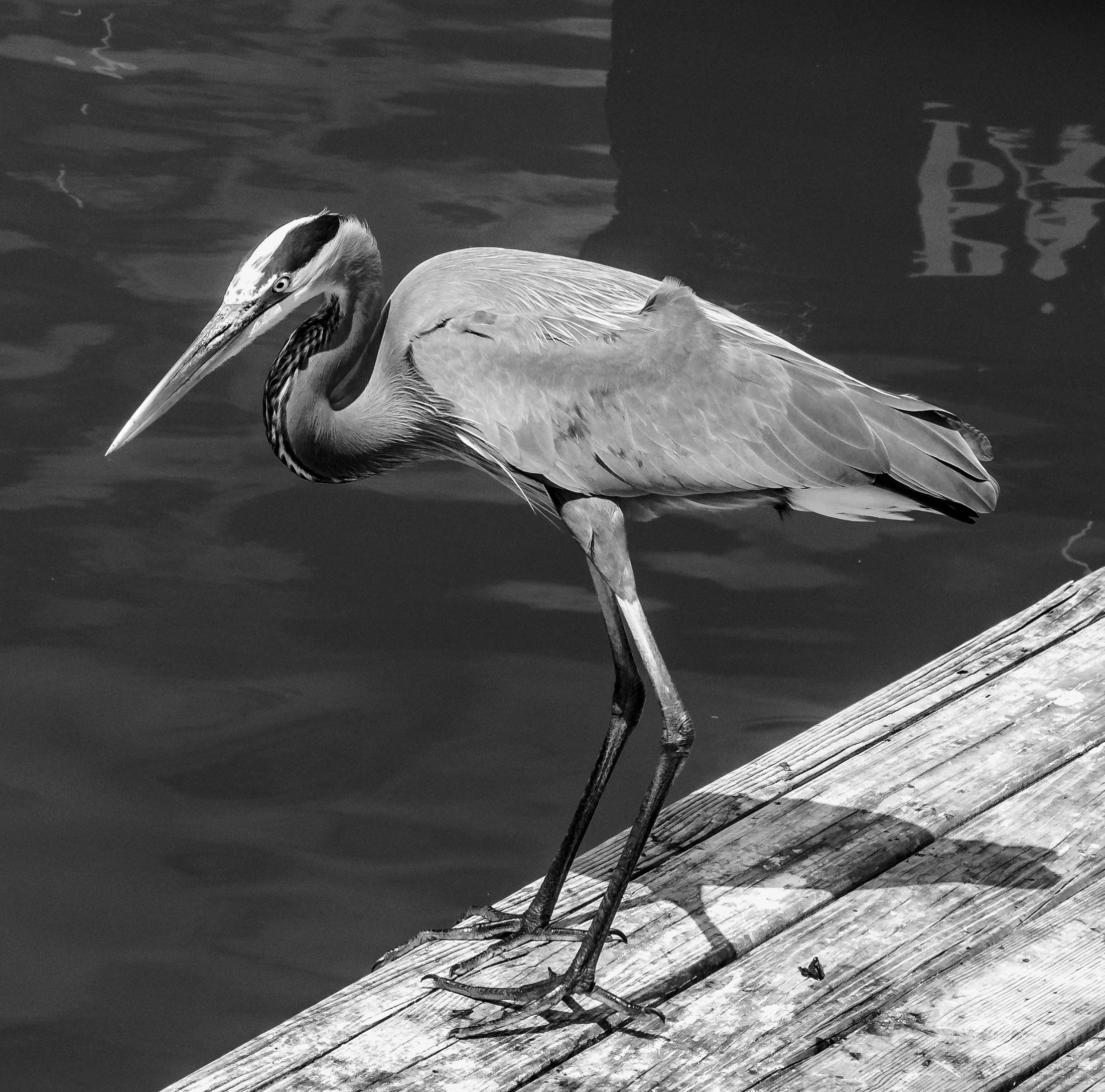 Hilton Head, South Carolina