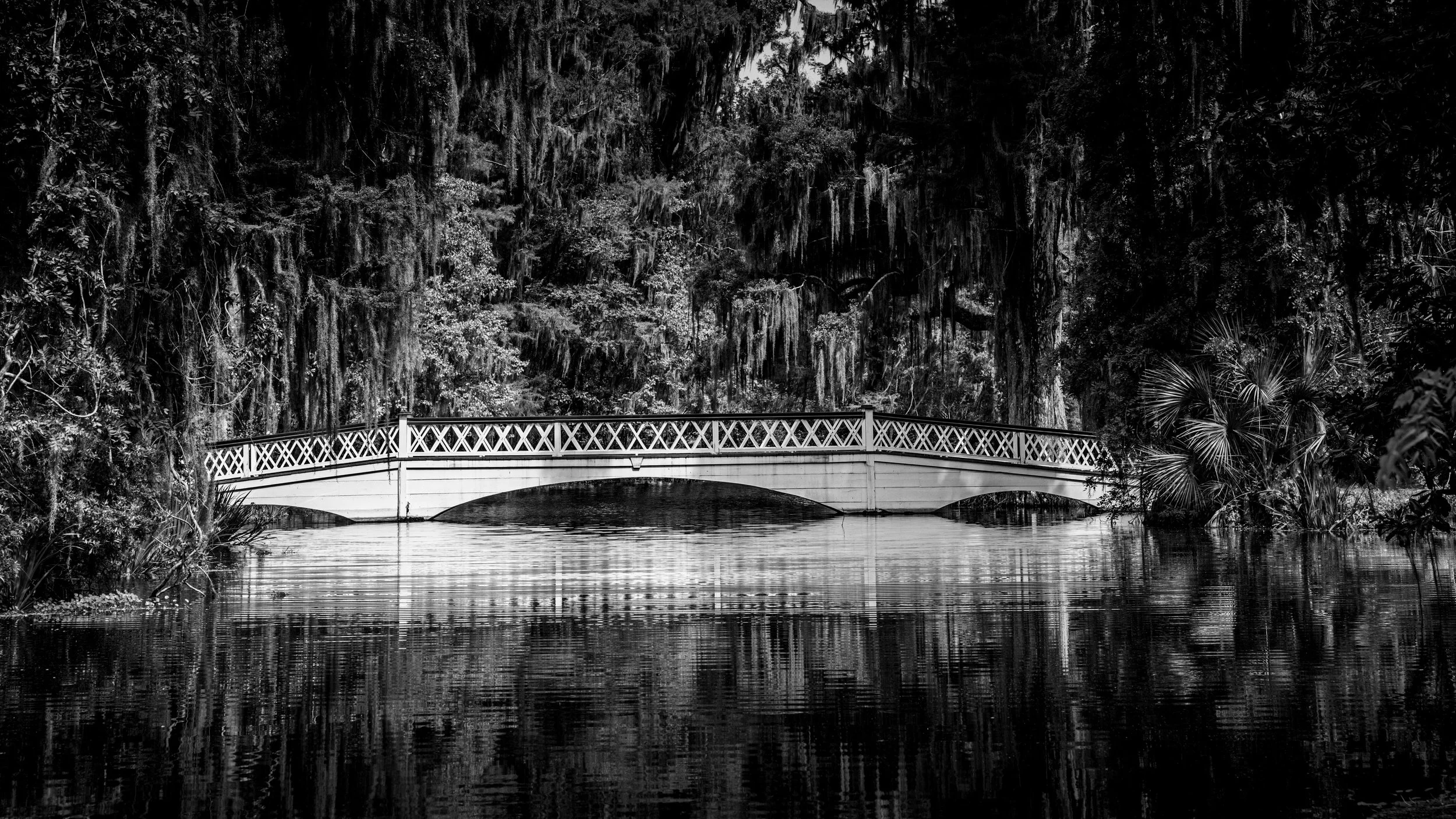 Bridge at Magnolia Gardens, Charleston, South Carolina