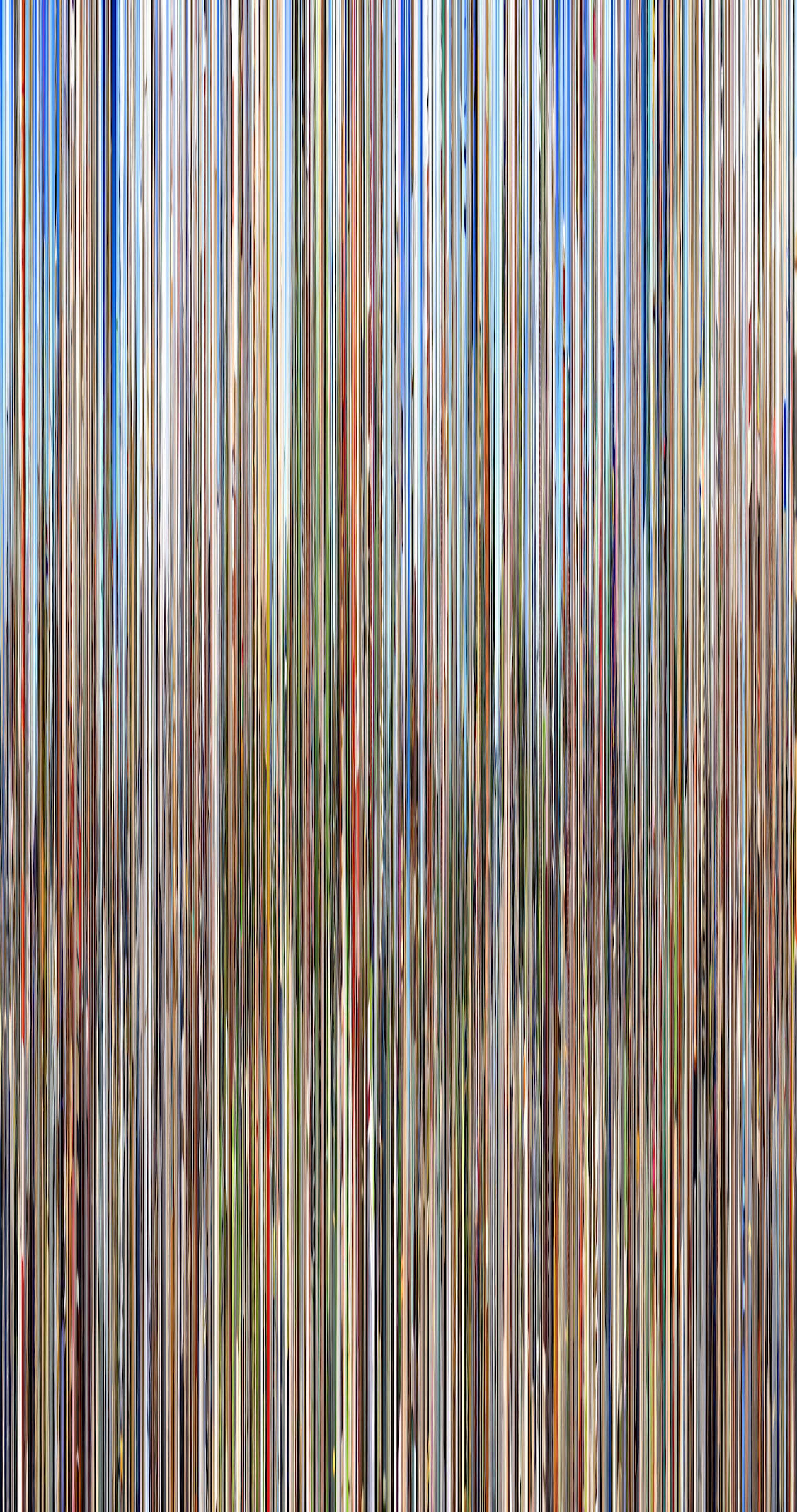 Hasan Elahi, Conelrad v14, 2016, Pigment print on canvas, 72 × 38 inches