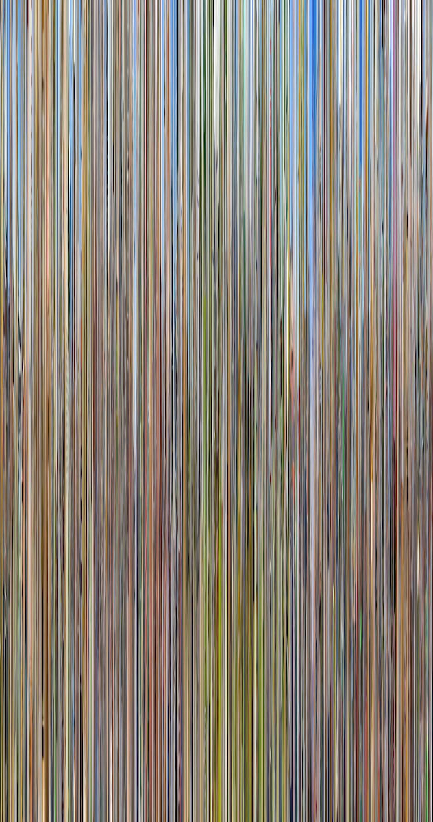 Hasan Elahi, Conelrad v09, 2016, Pigment print on canvas, 72 × 38 inches