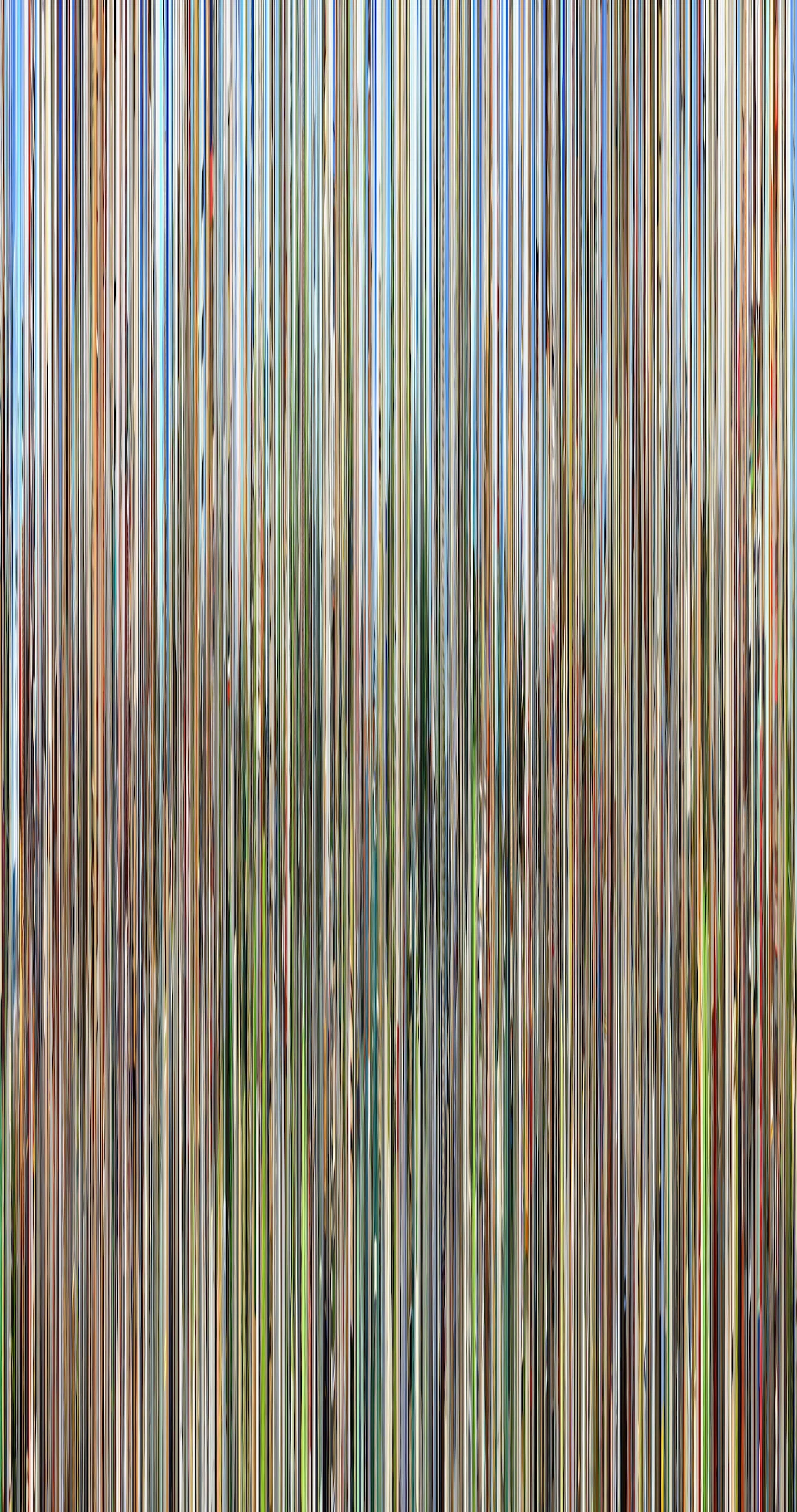 Hasan Elahi, Conelrad v15, 2016, Pigment print on canvas, 72 × 38 inches