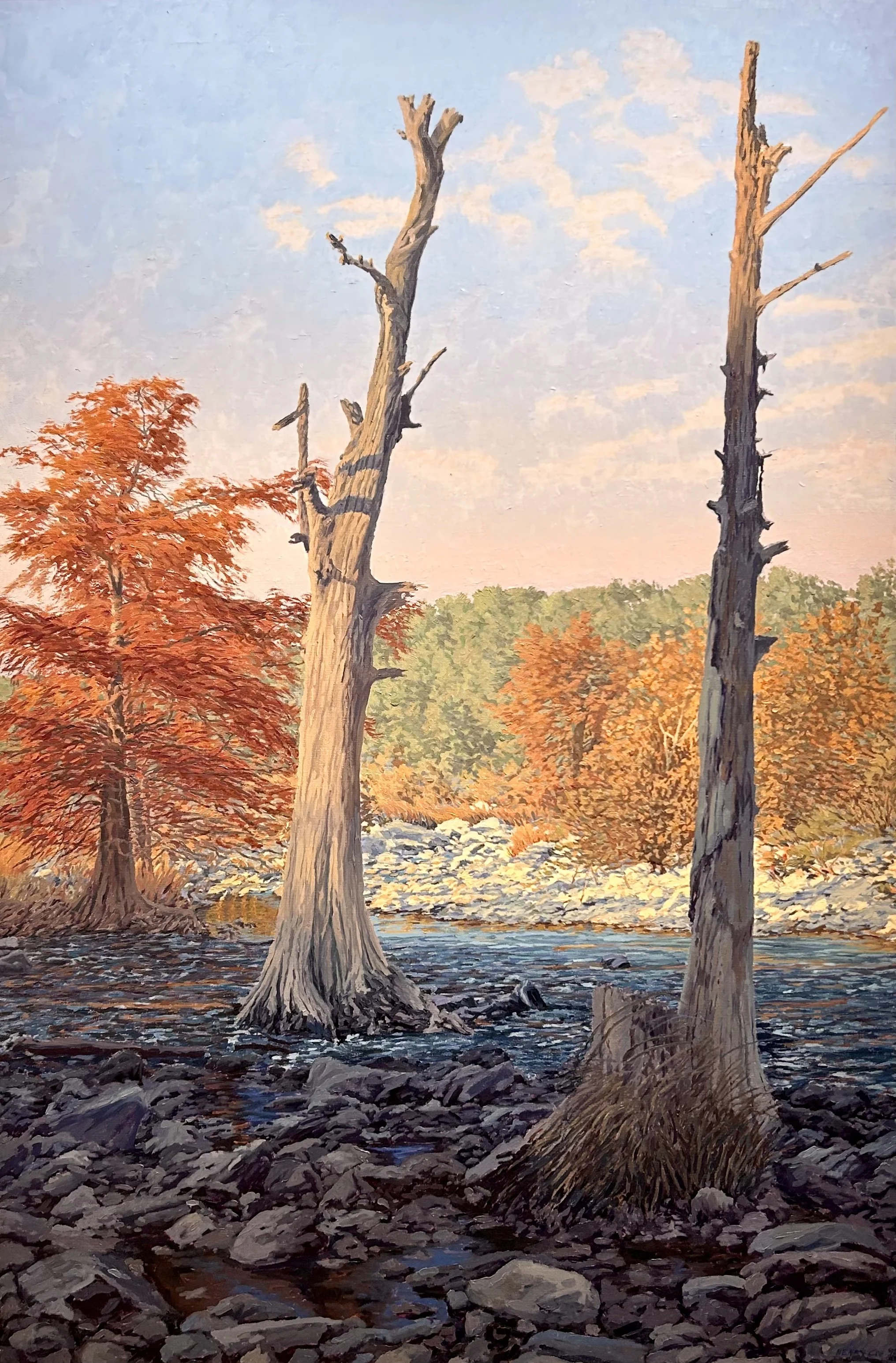 HENRY COE, "Bald Cypress", oil on linen, 72 x 47 inches