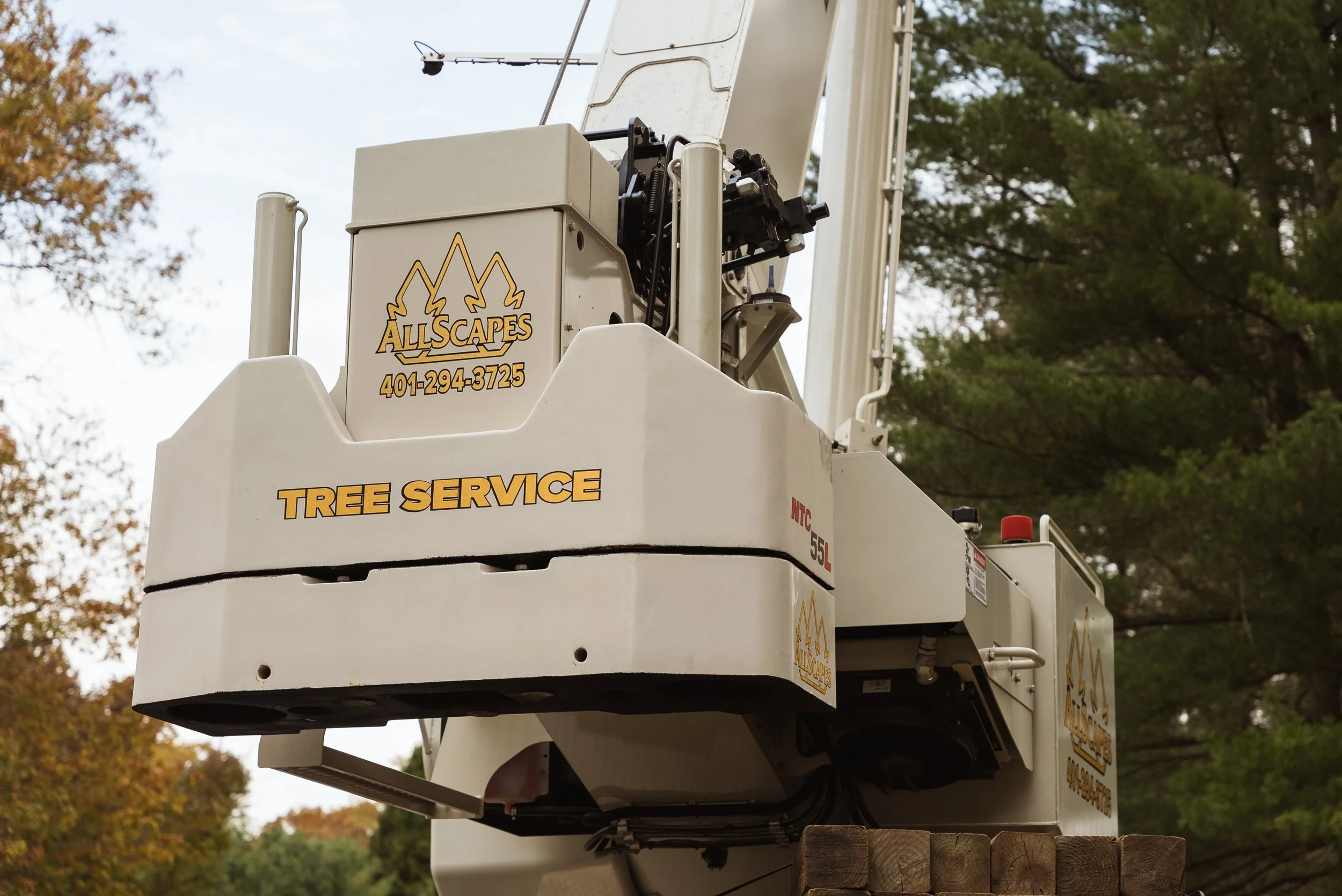 Tree Service / Arboriculture - AllScapes Tree Service 02 - 2025
