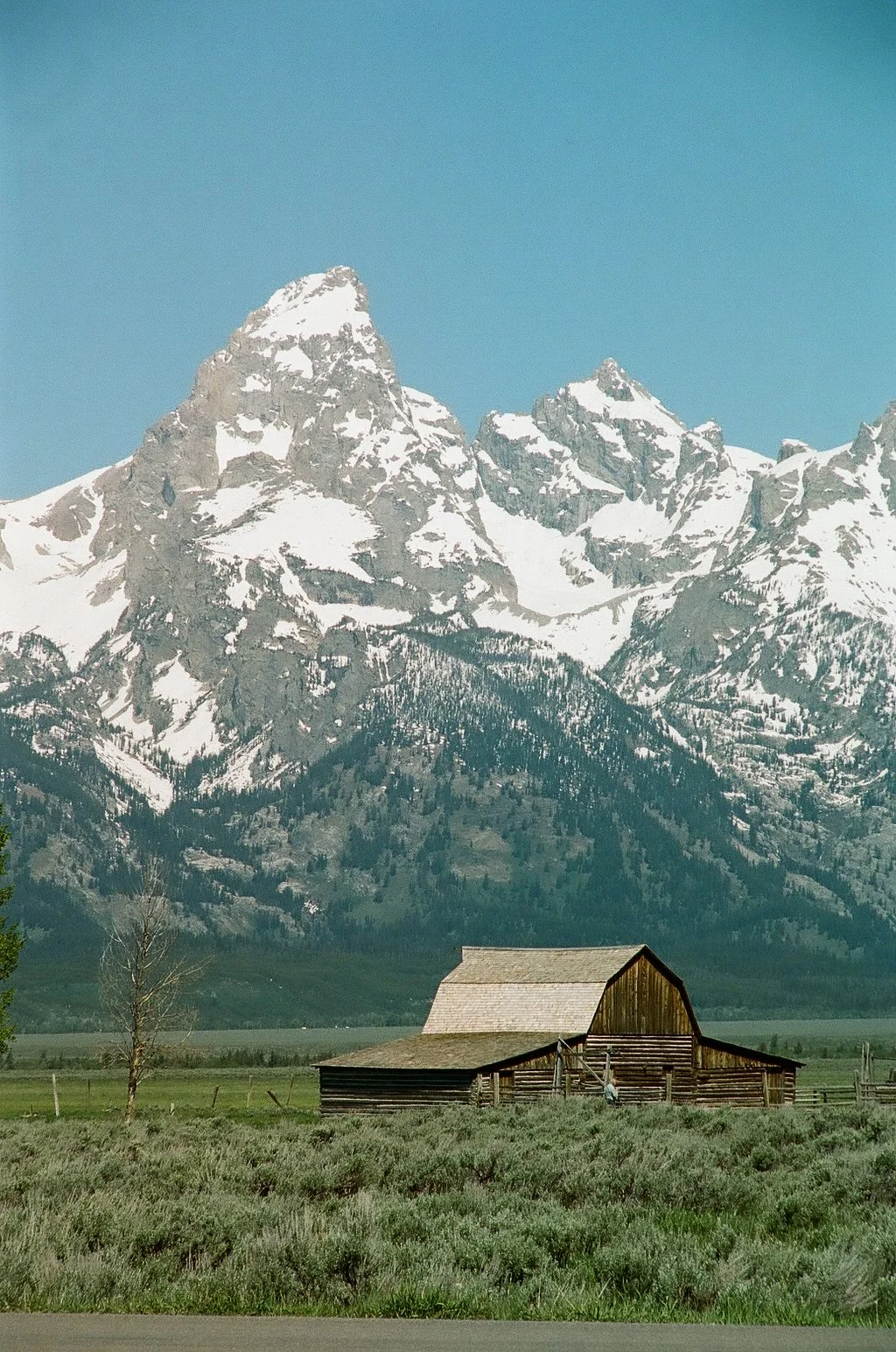 08680030.jpg