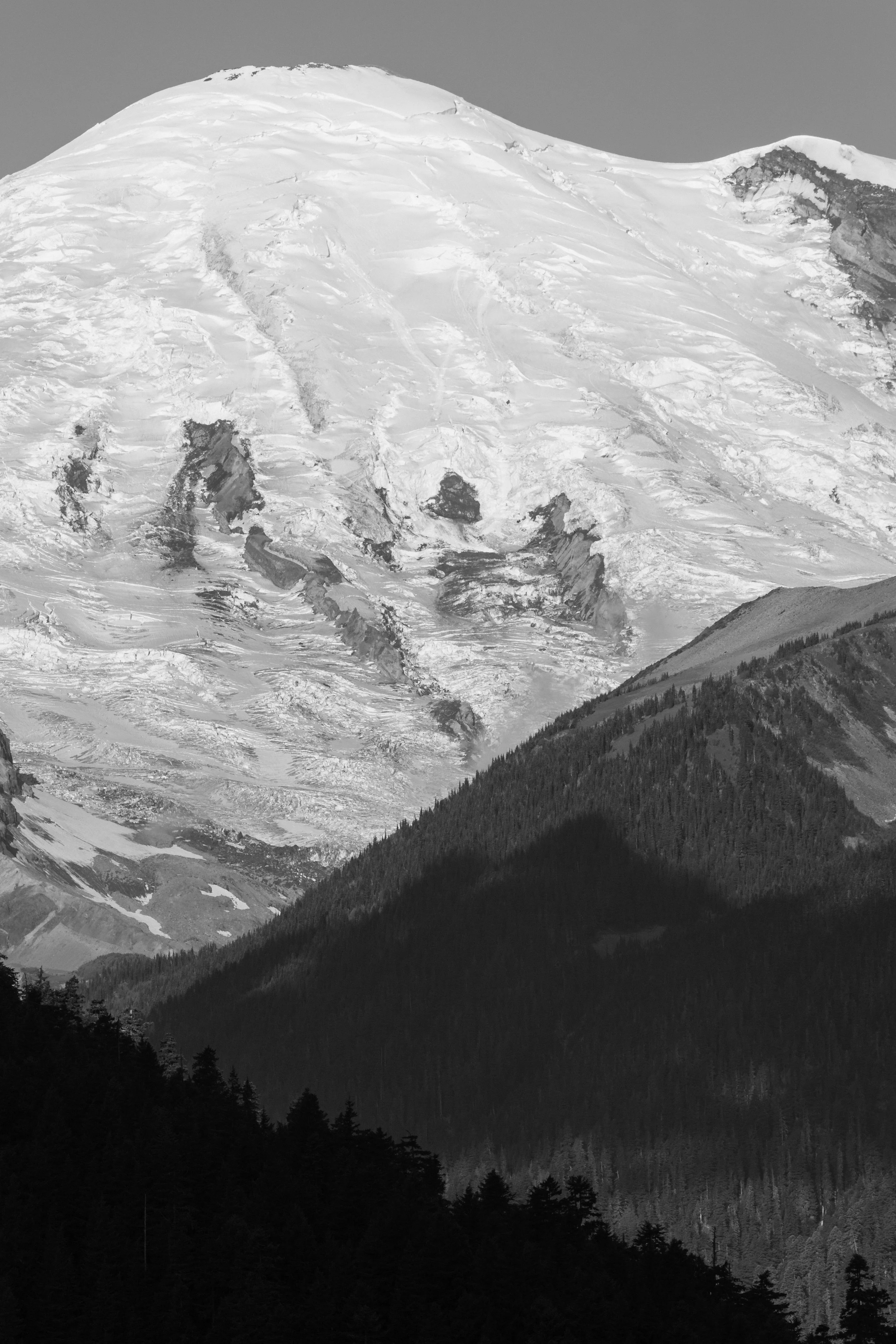 Mt. Rainier - 2019