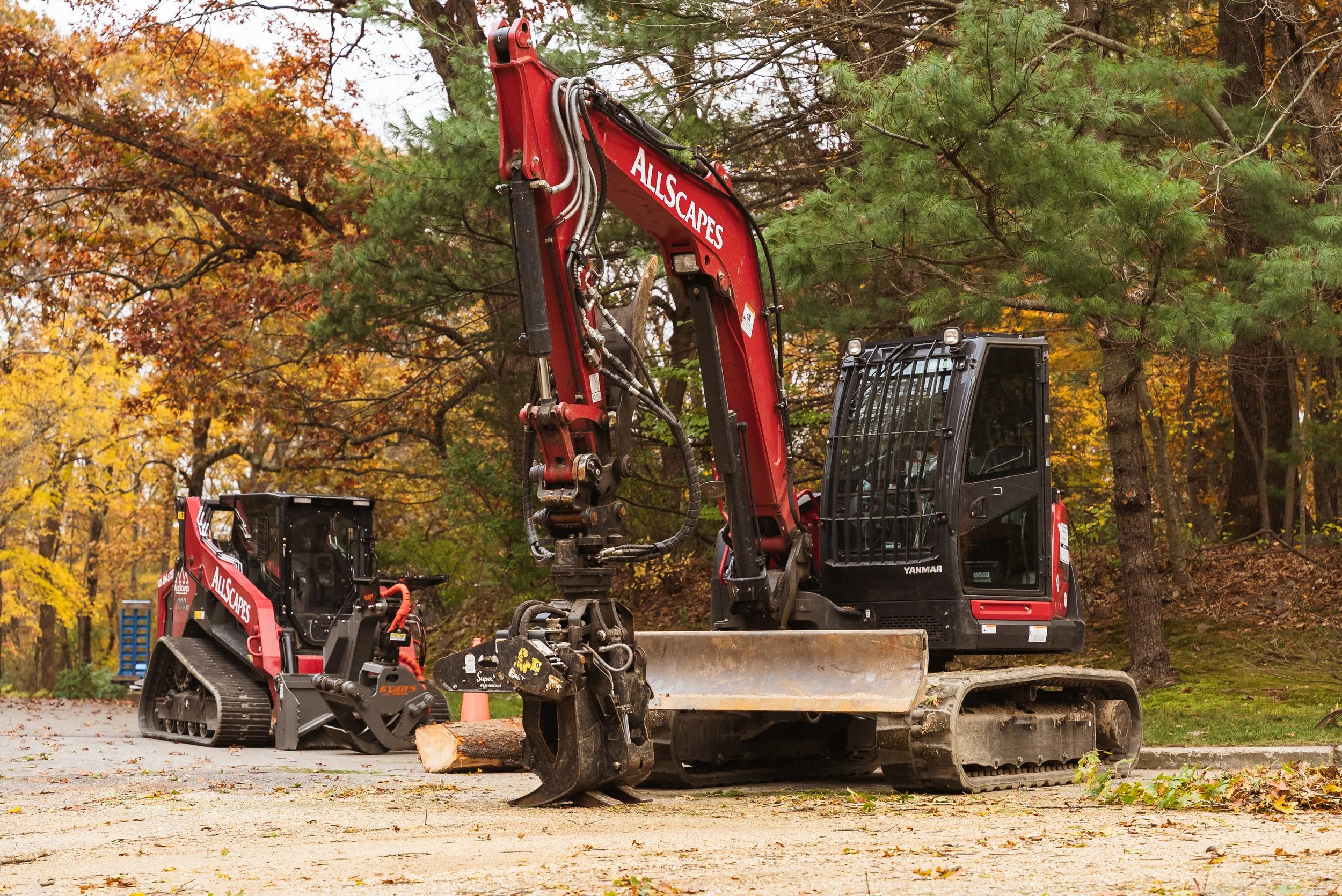 Tree Service / Arboriculture - AllScapes Tree Service 04 - 2025