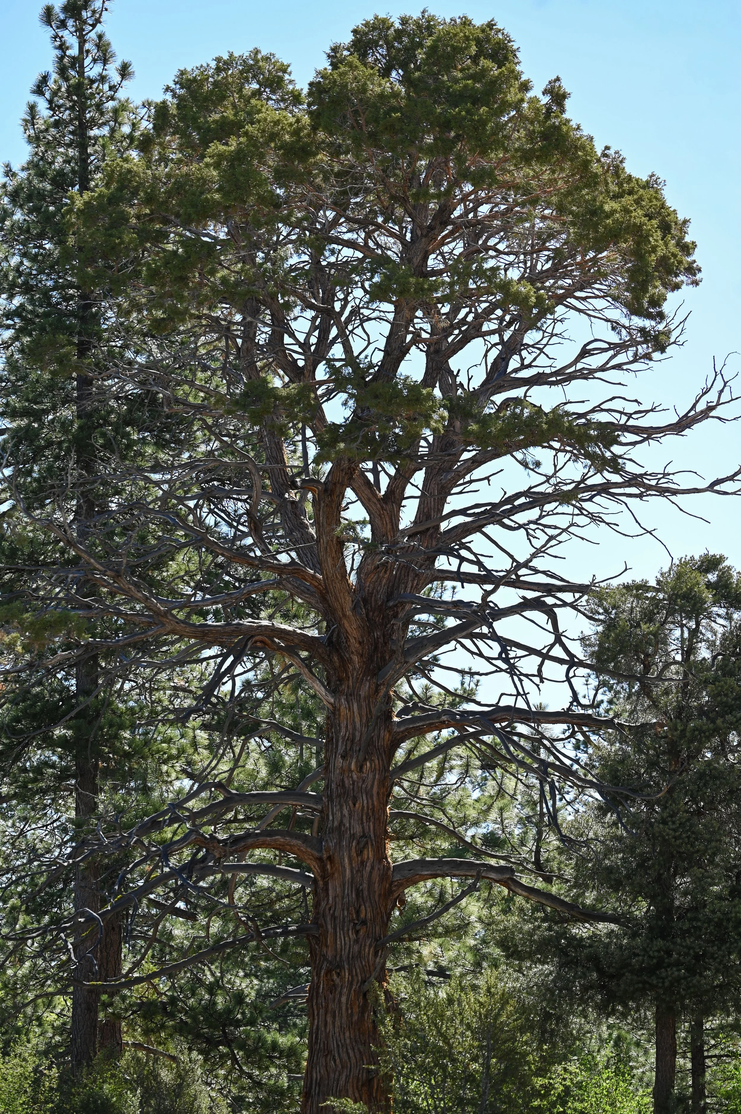 67-0604-5895-BBRC.jpg