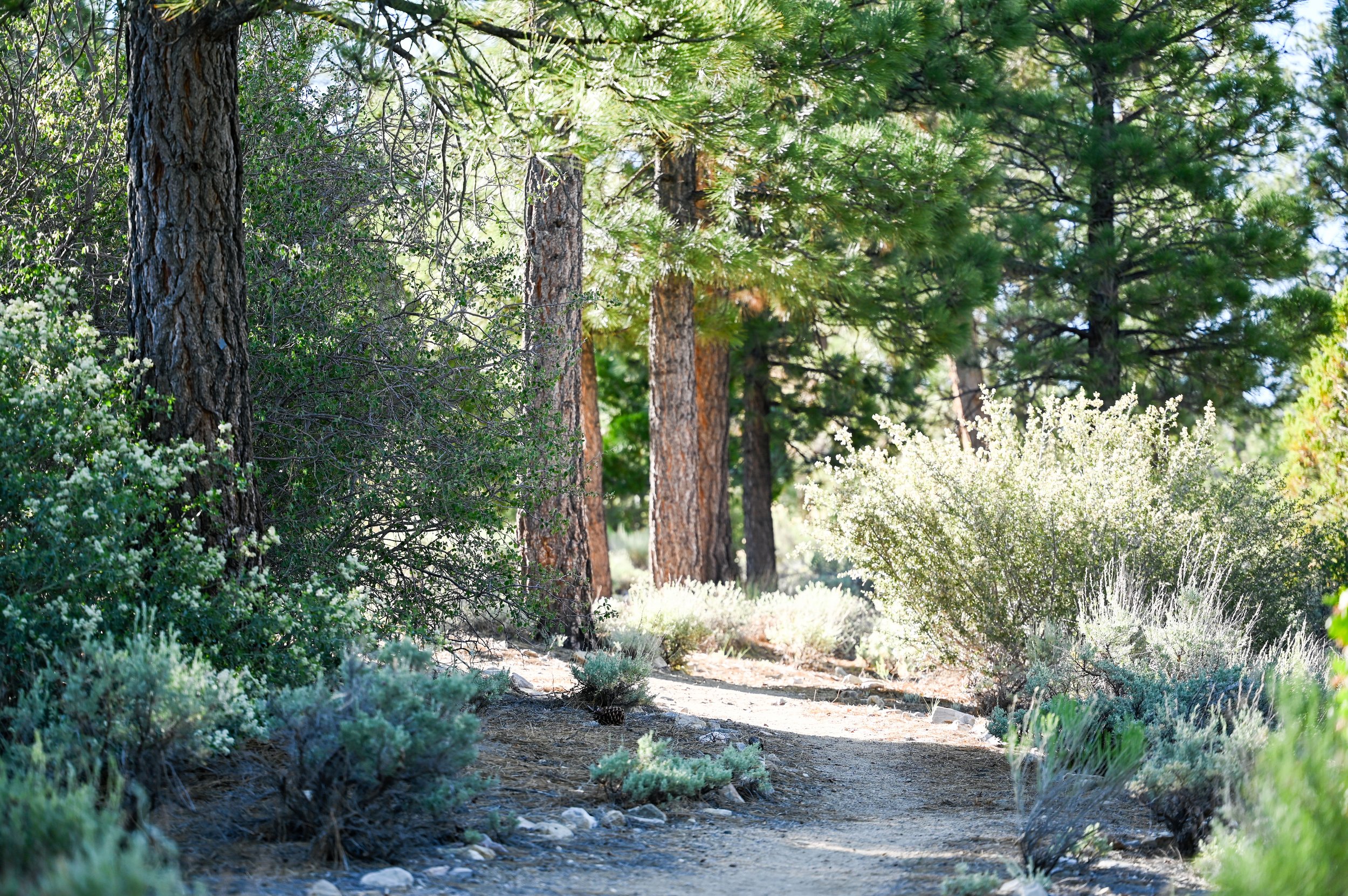 59-0604-5547-BBRC.jpg