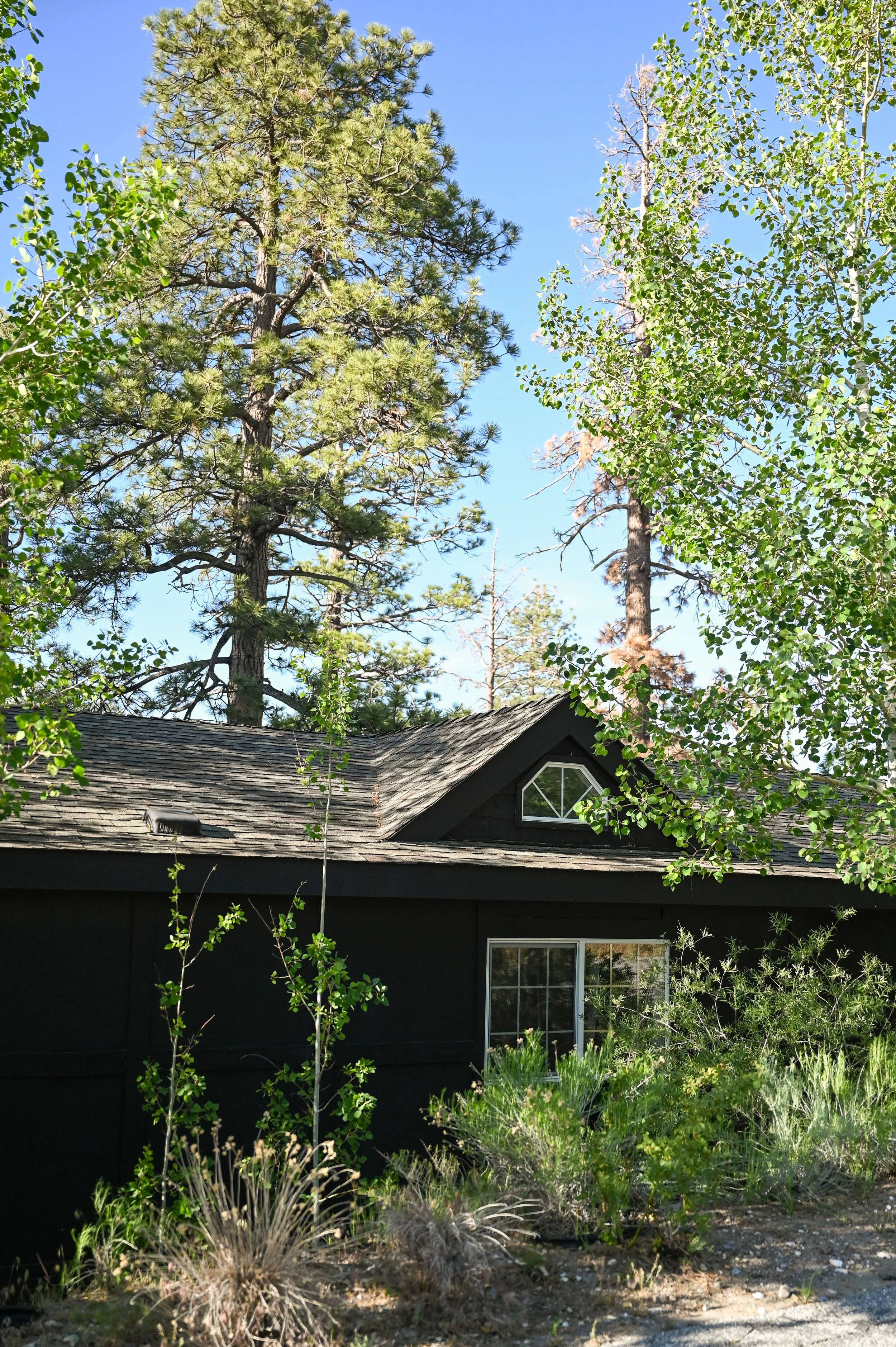 36-0603-4811-BBRC.jpg