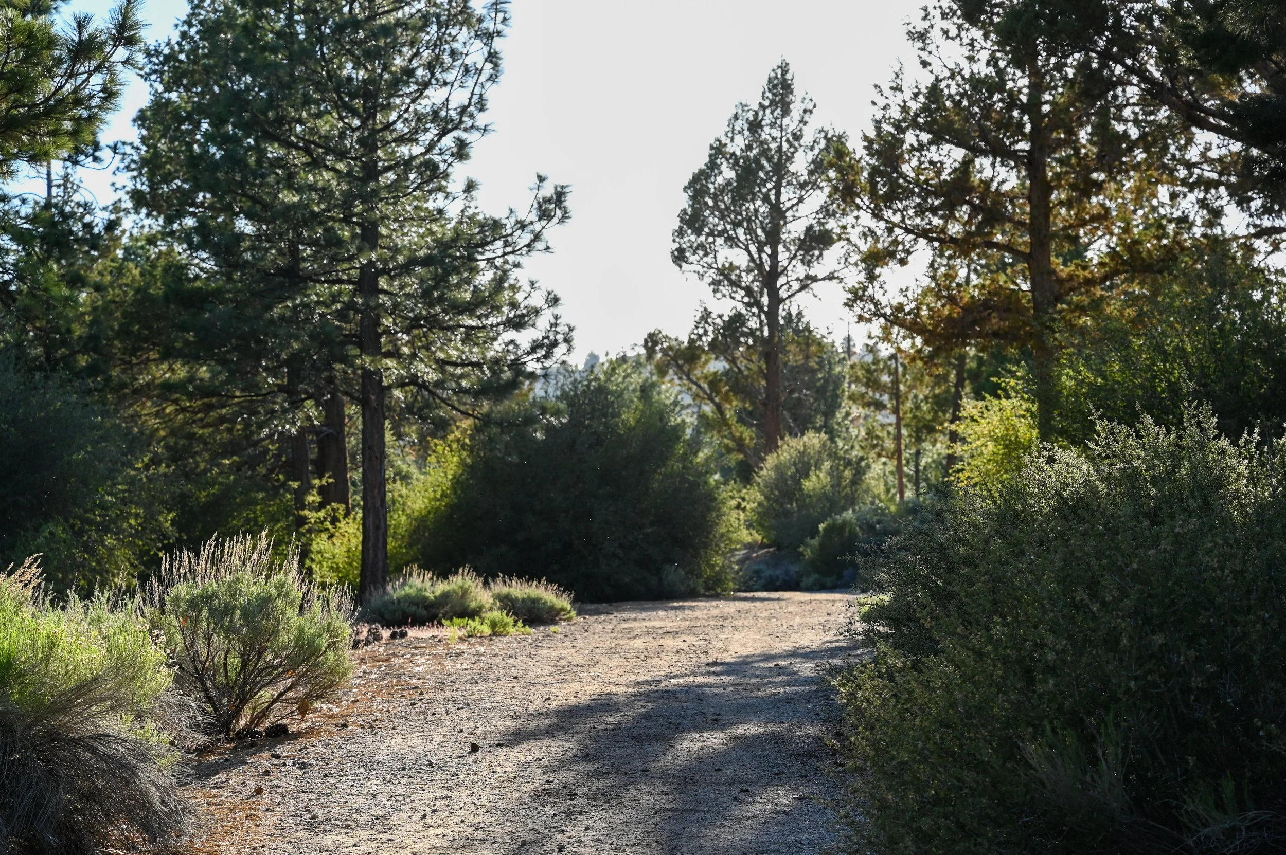 60-0603-4922-BBRC.jpg