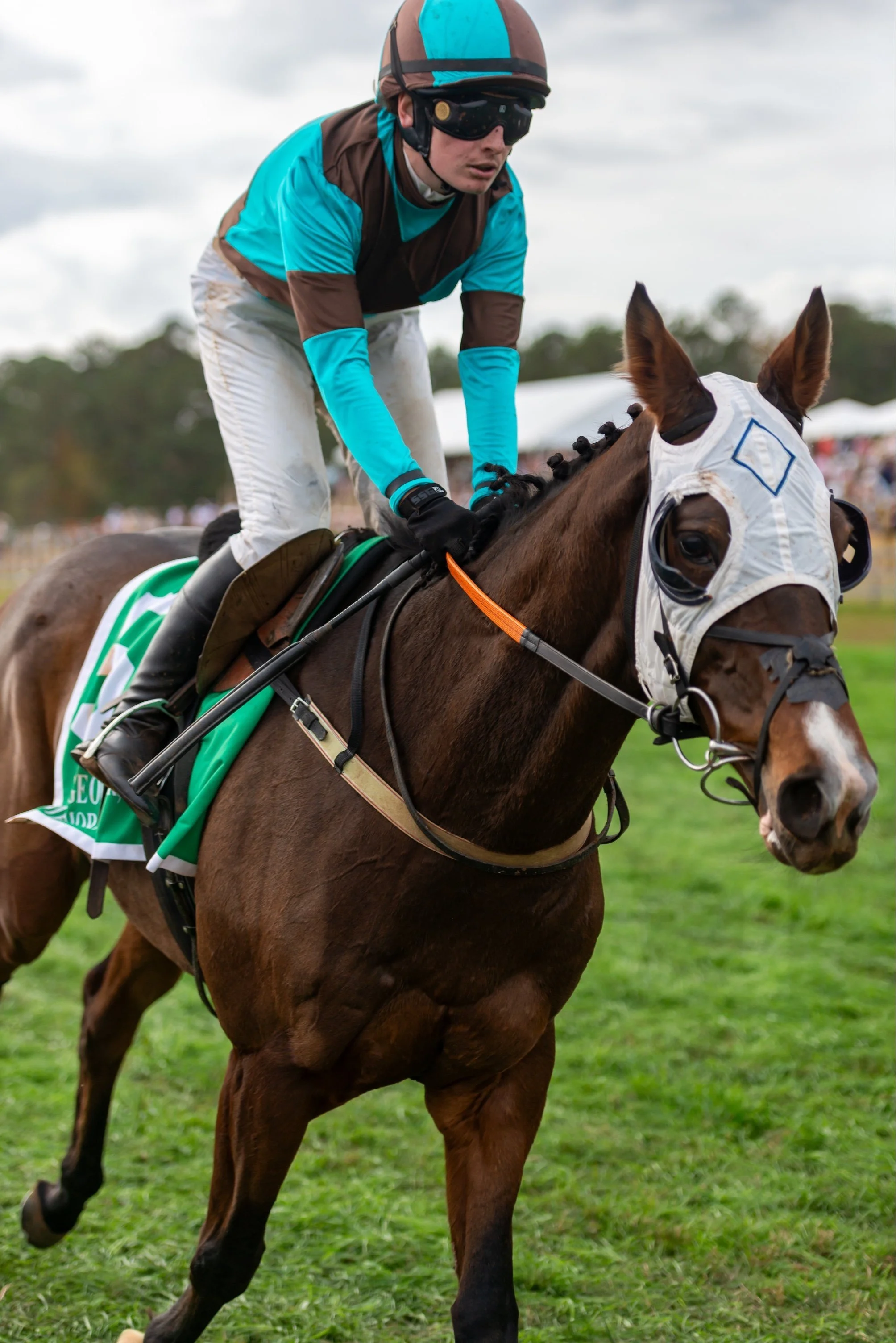 Steeplechase at Callaway Gardens