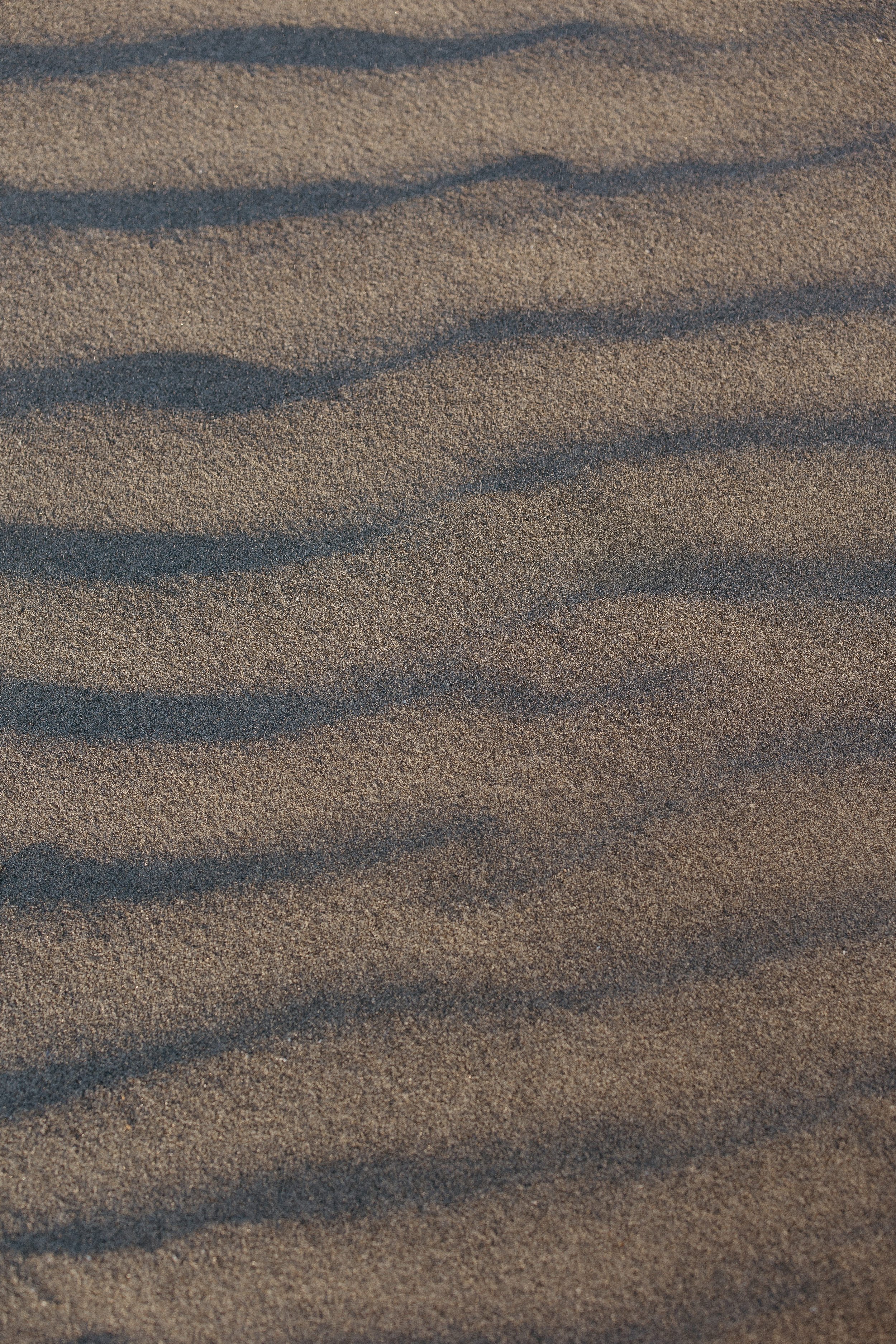 Beach engagment session -2891.JPG