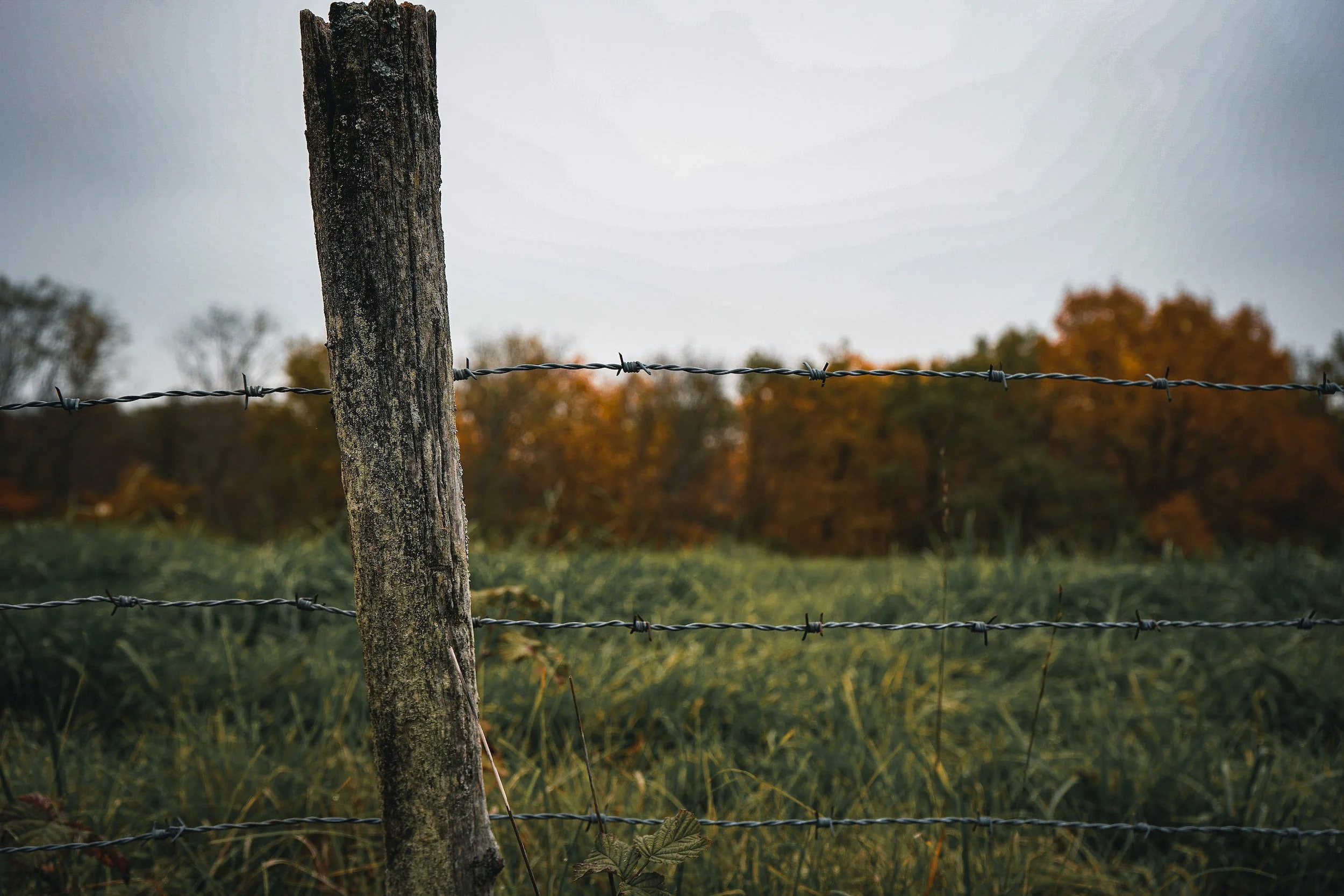 Becoming the Bridge Between Two Countries: Immigration Grief and Cultural Bereavement