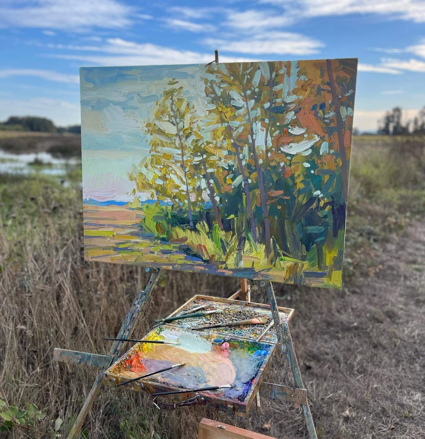 Catching those last sunny days. 30x40&rdquo; oil/canvas 

#antonpavlenko #oregonartist #contemporaryartist #westcoastartist #artistsoninstagram #impressionism #oilpainting #landscapepainting #fineartist #naturepainting #oilpaints #pleinairpainting #p