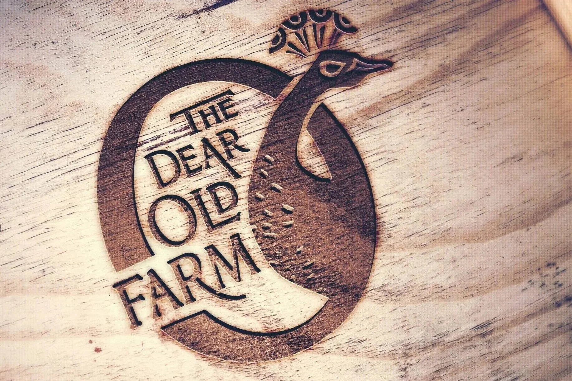 DOF_Woodburn.jpg