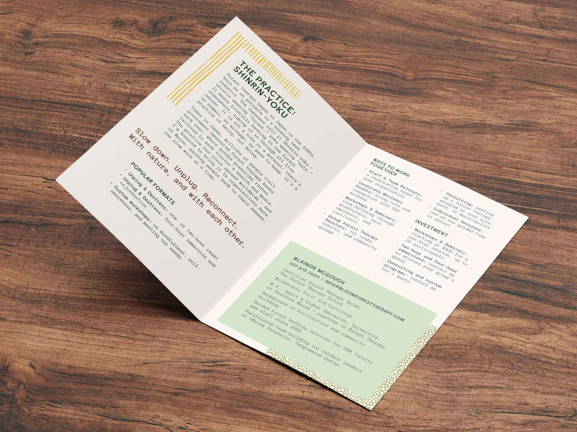 BLM_Portfolio_Brochure1.jpg