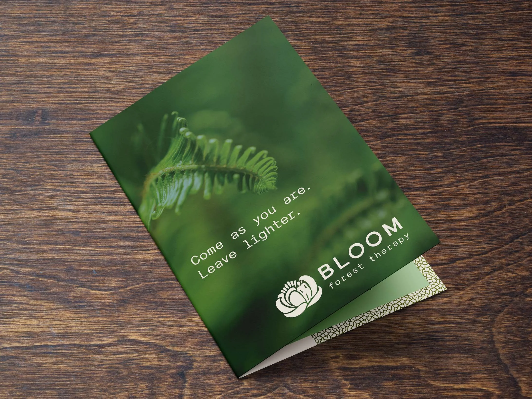 BLM_Portfolio_Brochure3.jpg