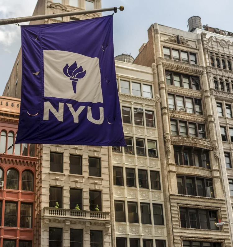 NYU Albert Redesign — RUYI CHEN