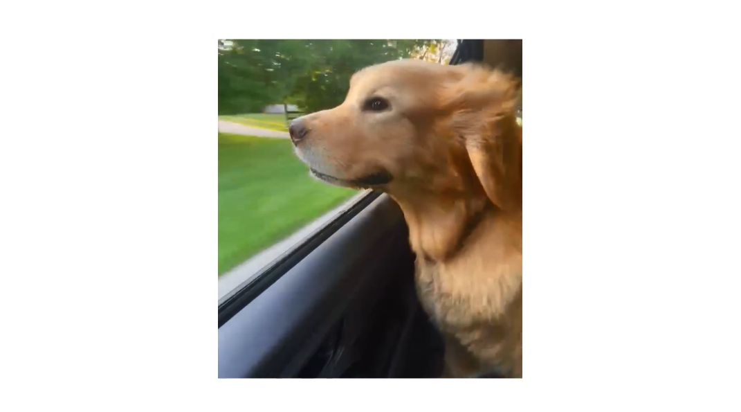 Screenshot 2026-01-23 at 12.48.14 PM.png