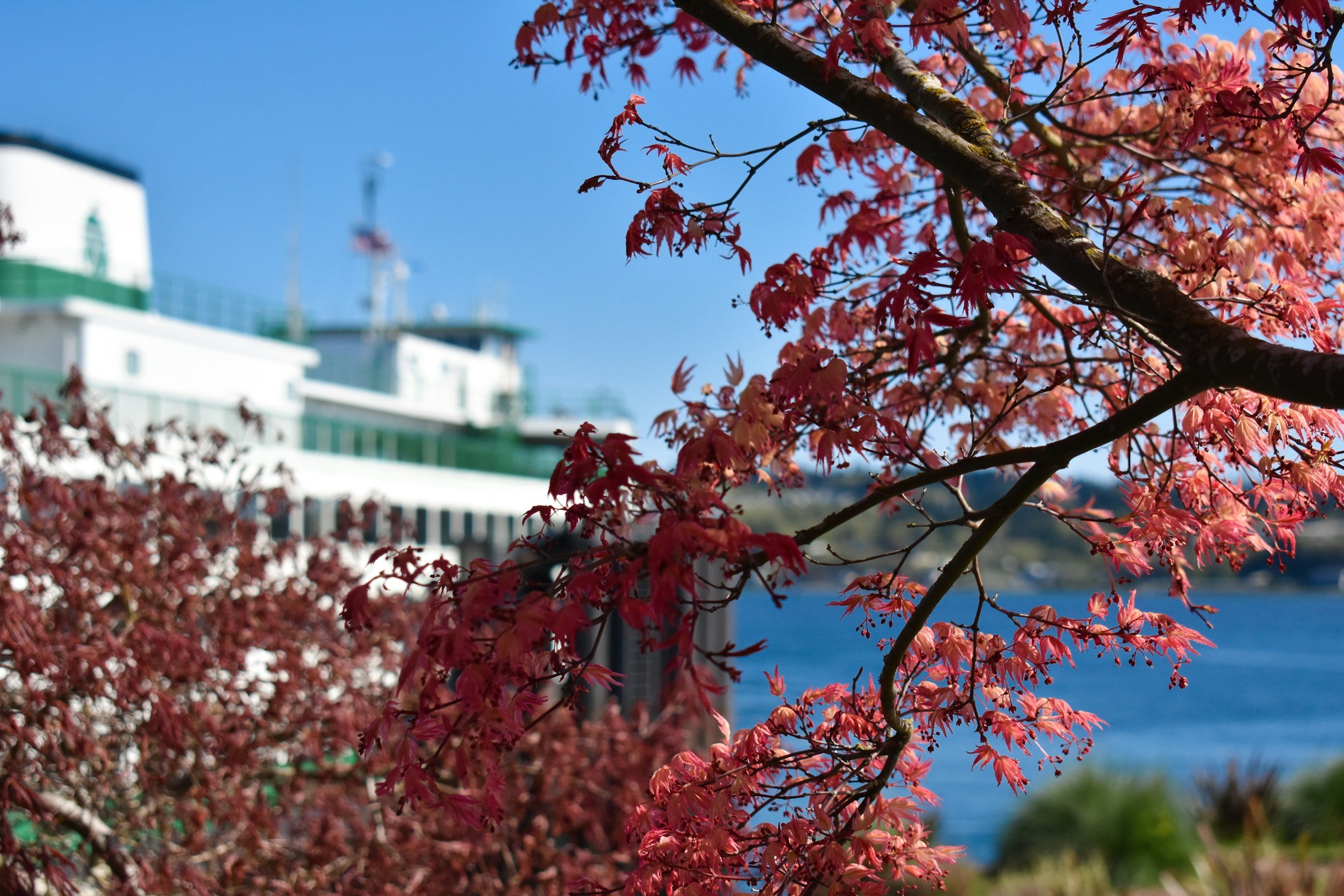 Trippers: Canadian Fall Foliage Cruise