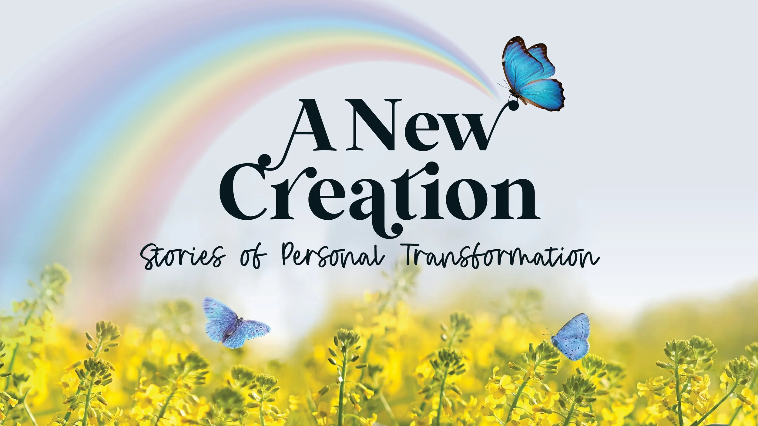 A New Creation: Changed by Grace