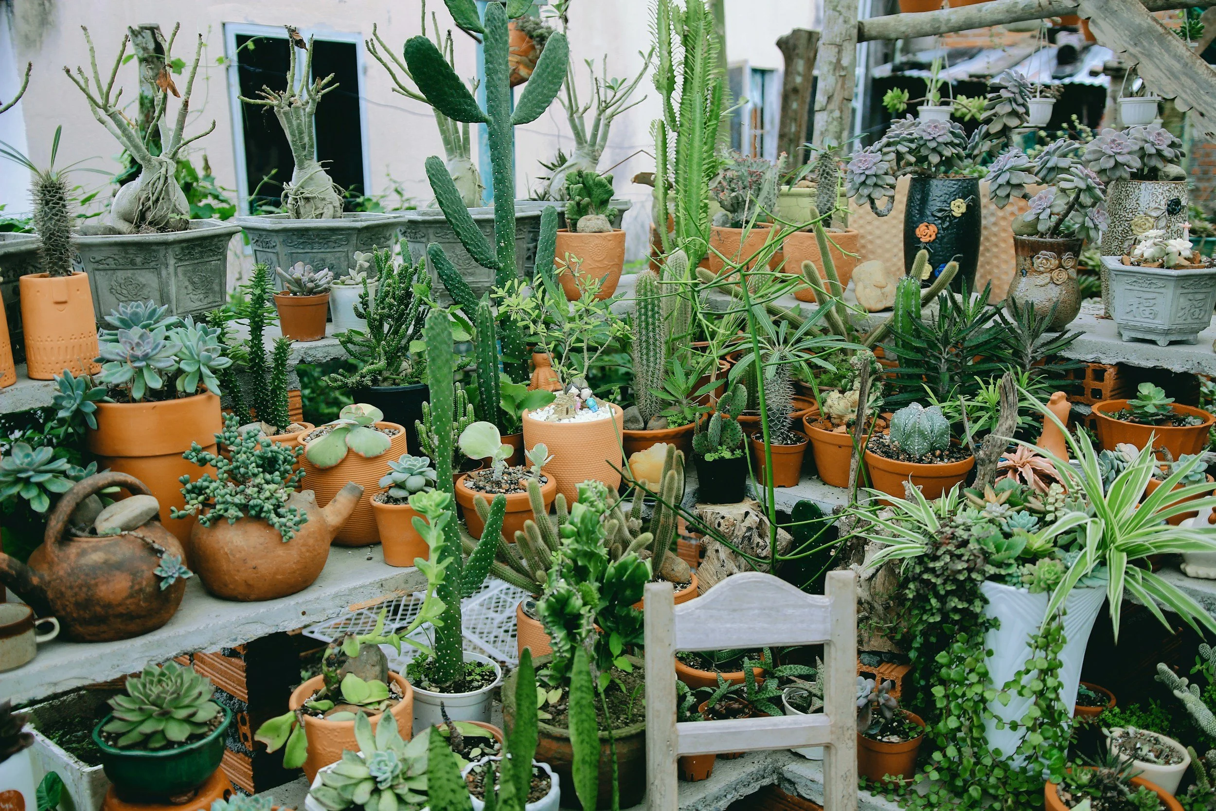 Kenya Mission Plant and Garage Sale