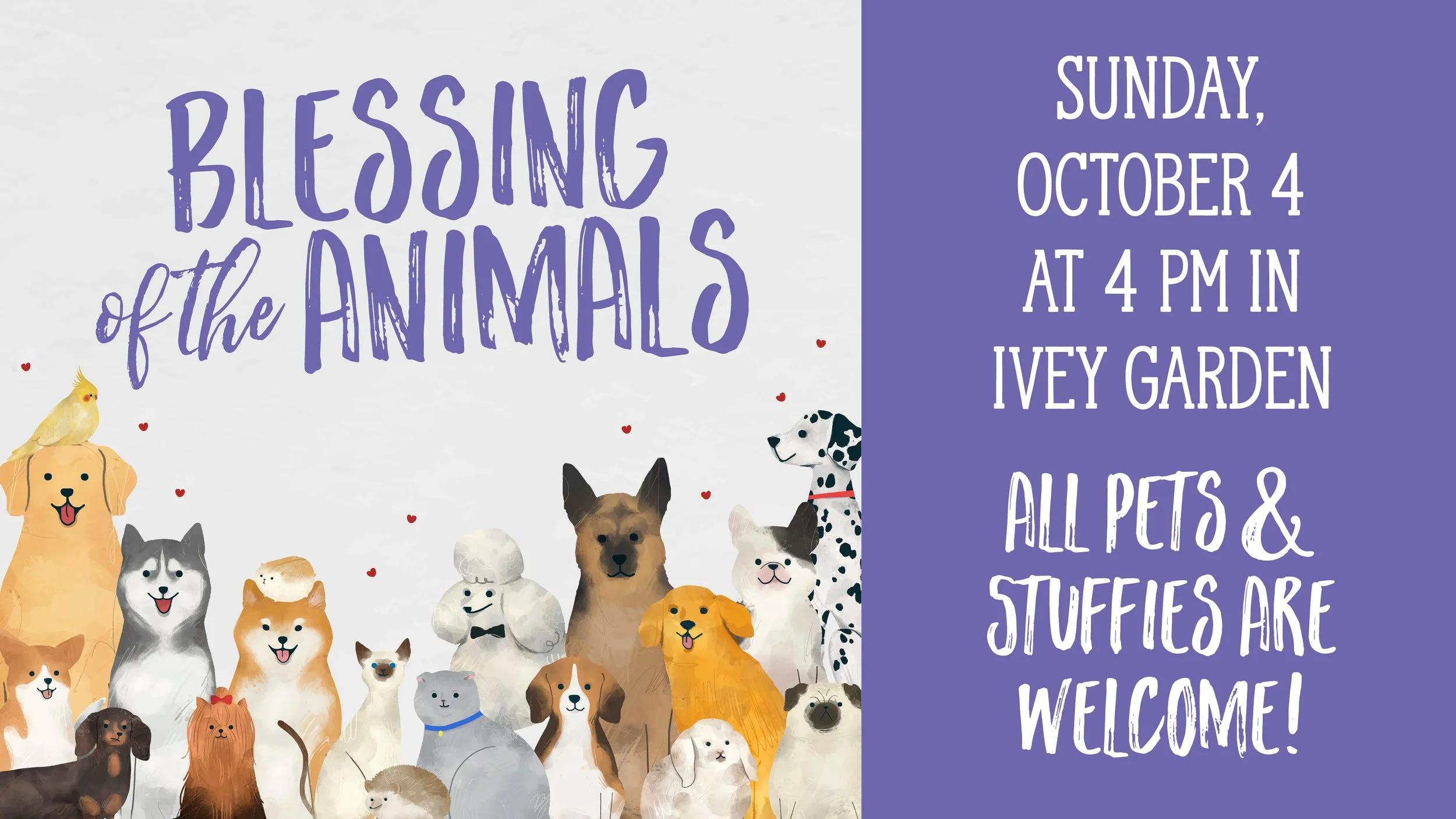 Blessing of the Animals
