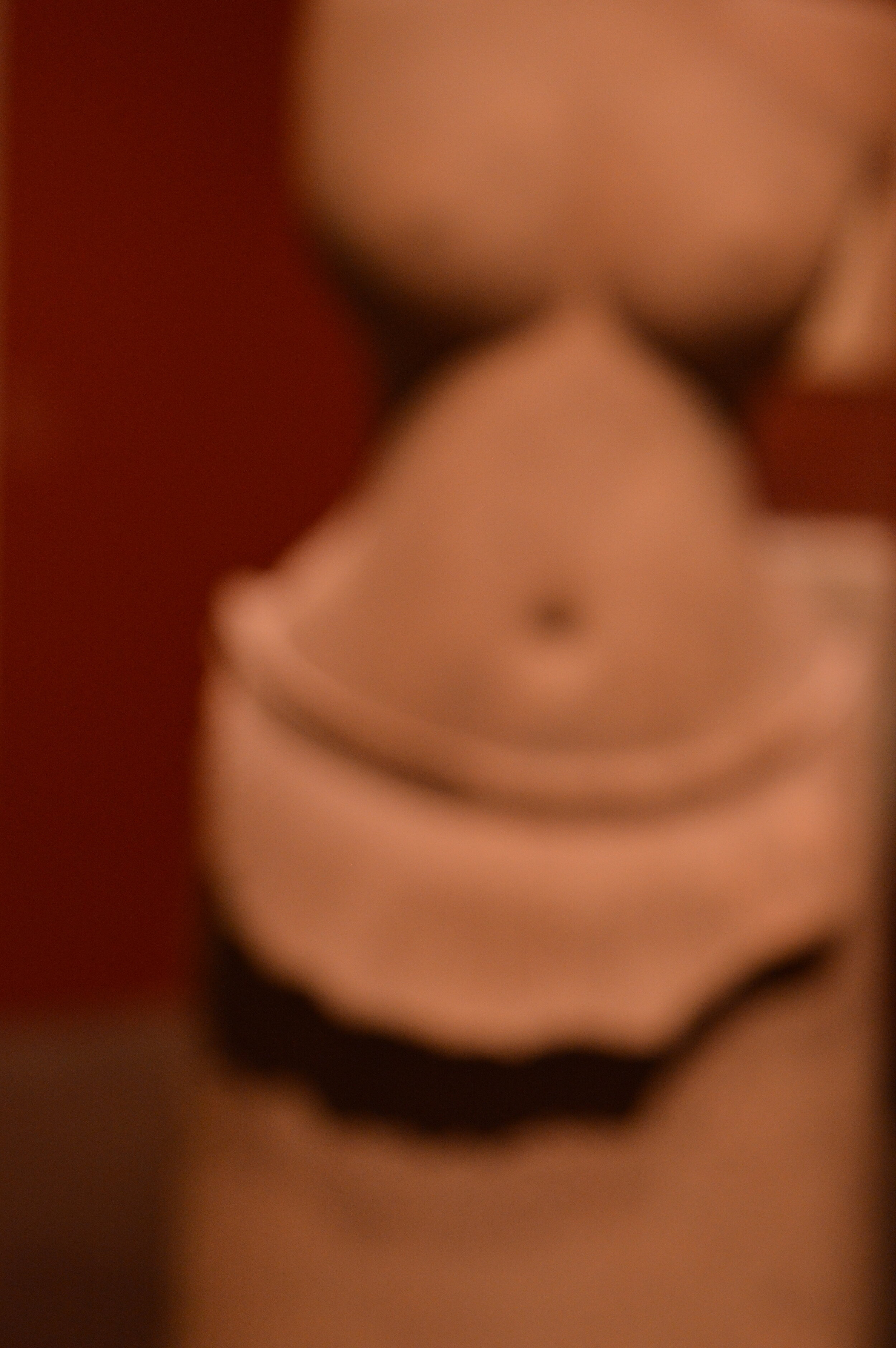 DSC_0442.JPG