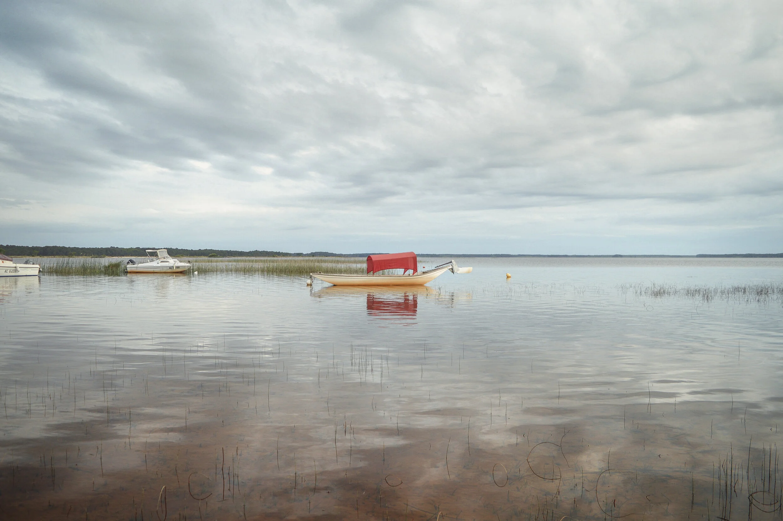 DSC_0520v2.jpg