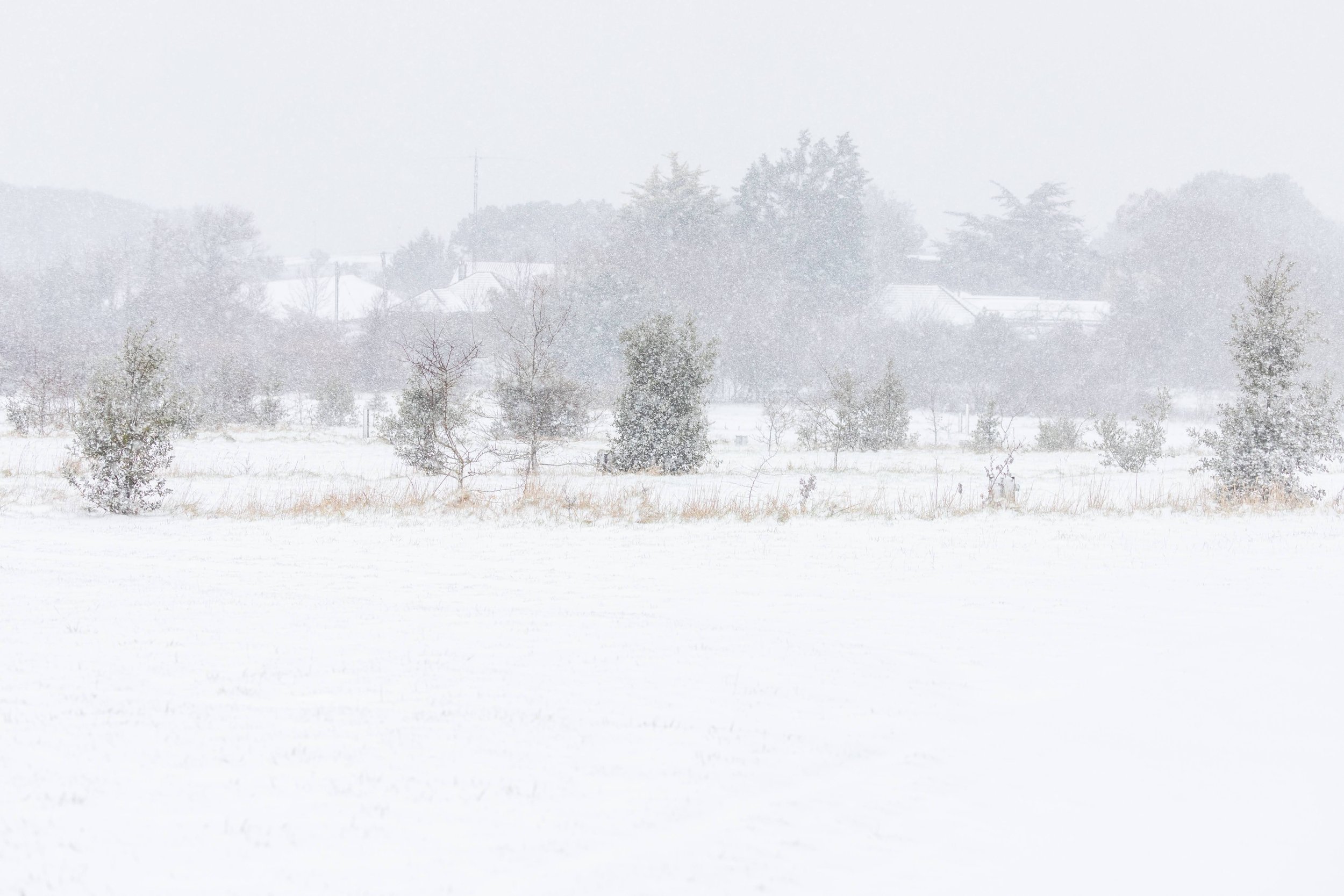 2020_snow-5753.jpg