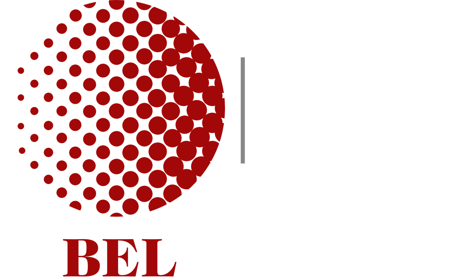 The Blood Engineering Lab