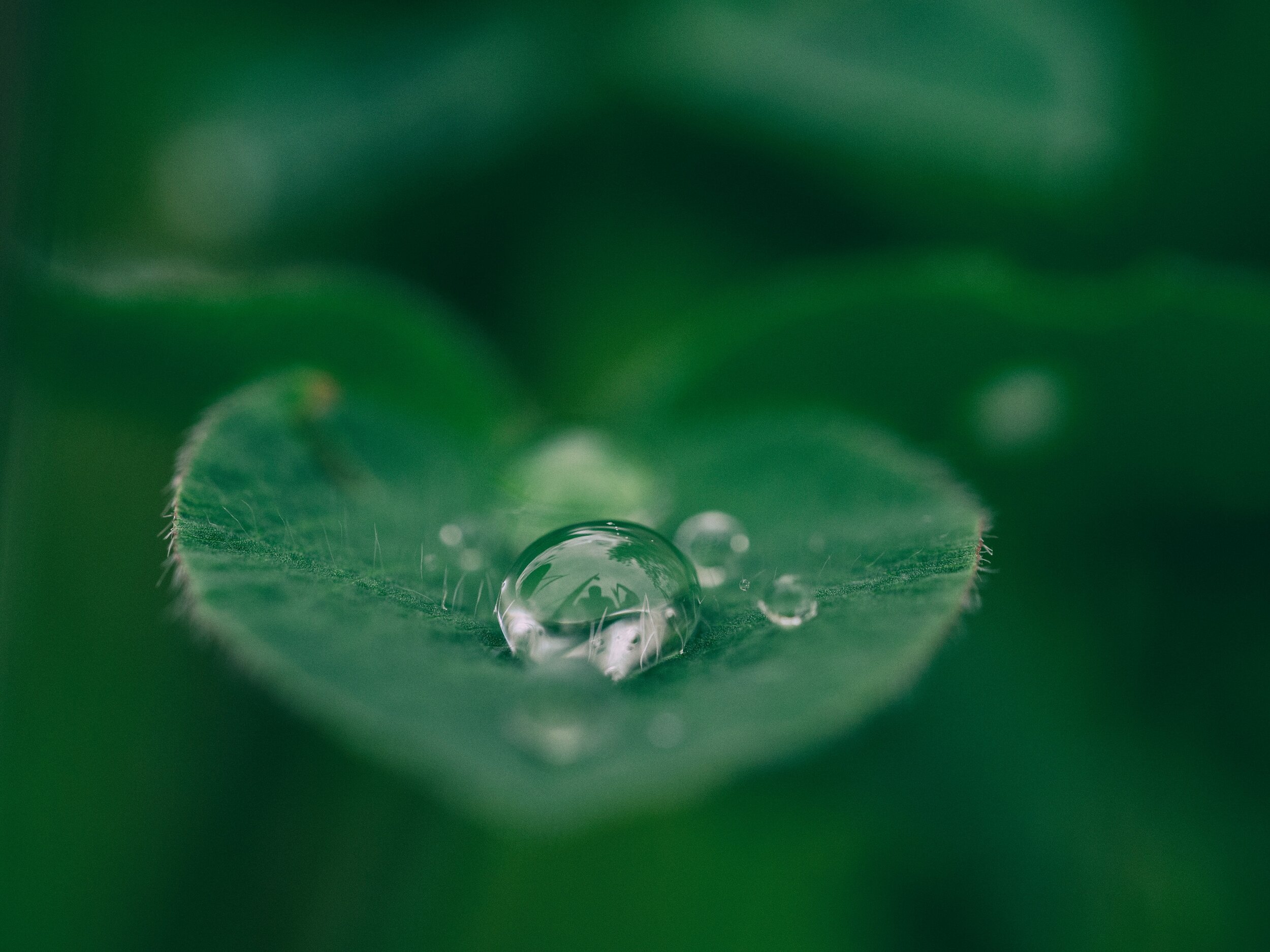 Mindfulness Meditation Exercise: Watching the Thinker