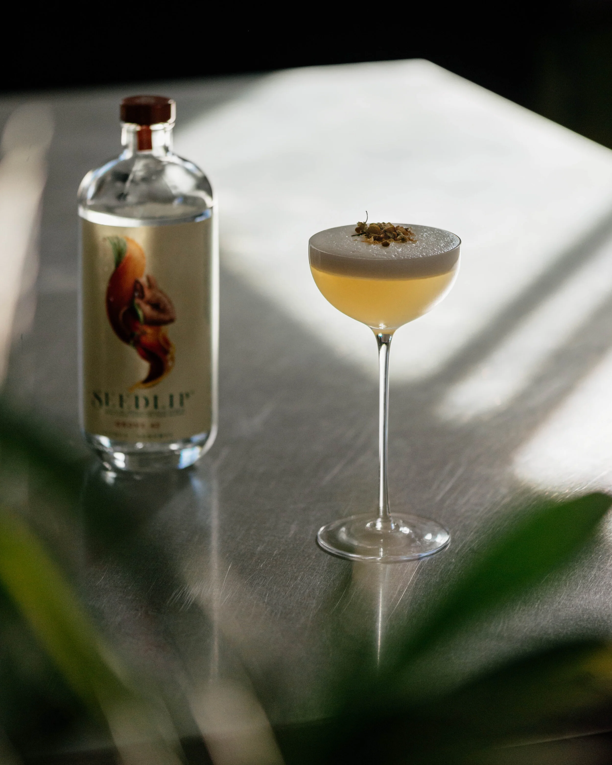 0826 max-485-edit.JPG