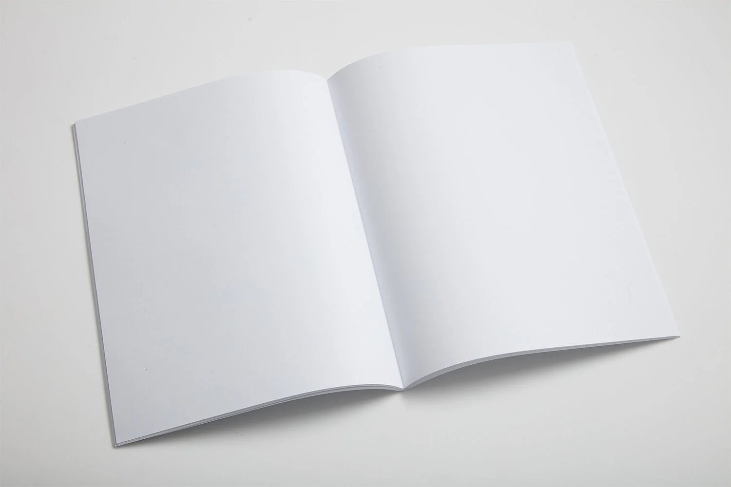 LoopMockup_INSIDE4_BEFORE.jpg