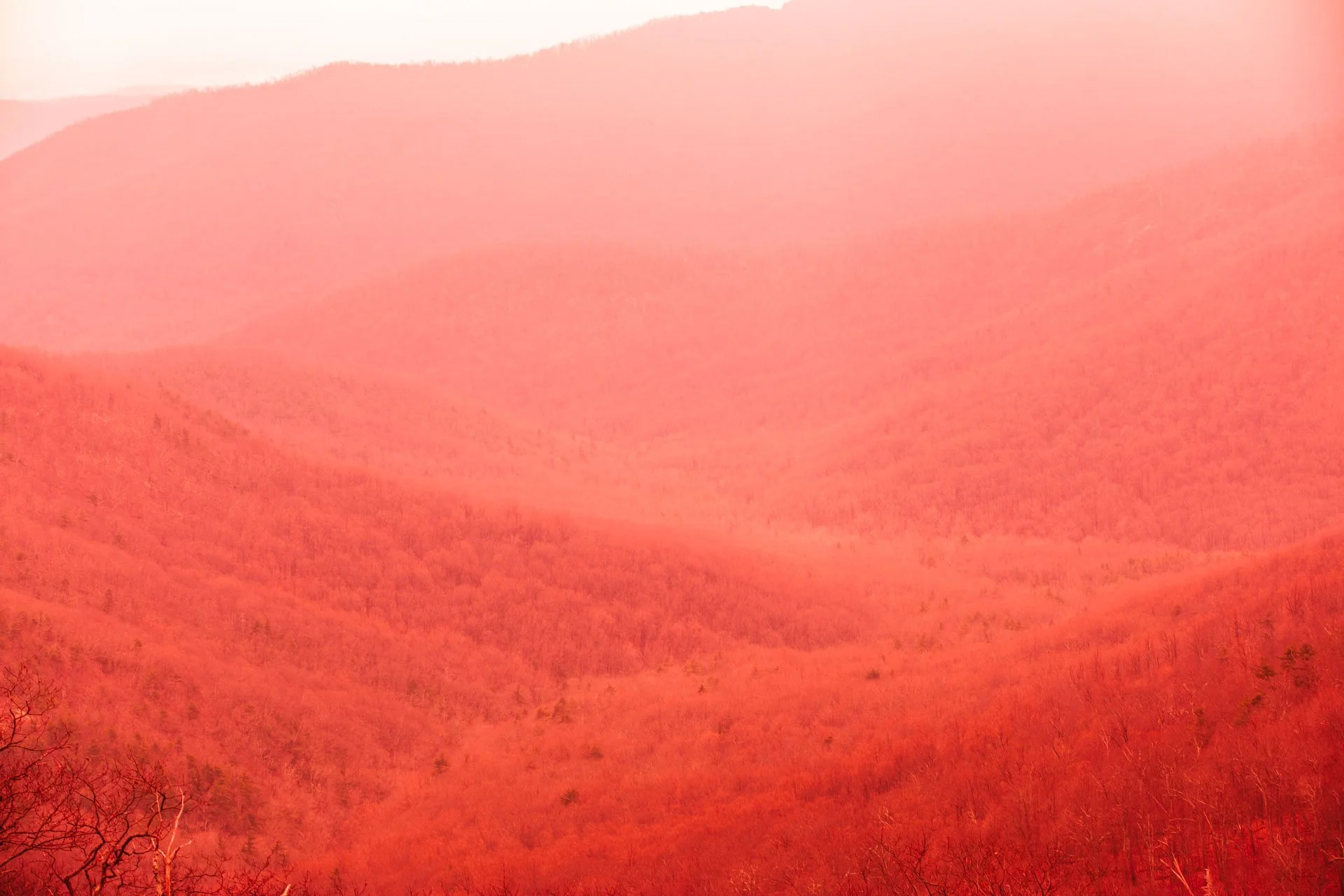 SHENANDOAH