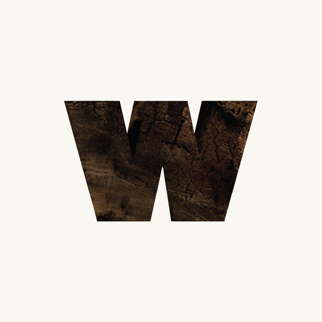 DREAM WEST PROJECTS | brand identity + website