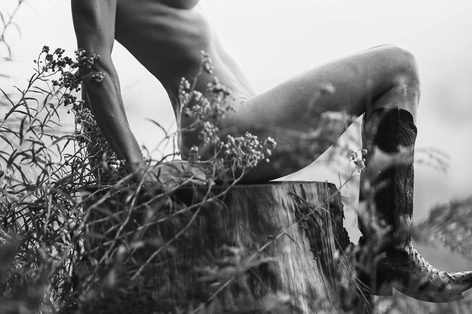 THE BECOMING