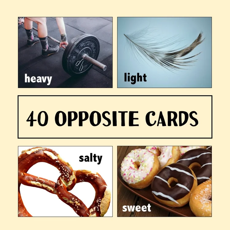 Leveled Category Cards — The Speech Express