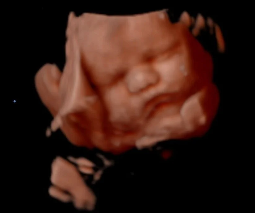 DOMINIC_0002+%281%29.jpg