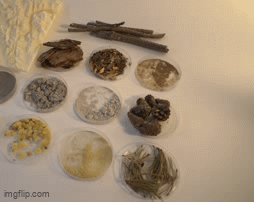 8g2ssv.gif