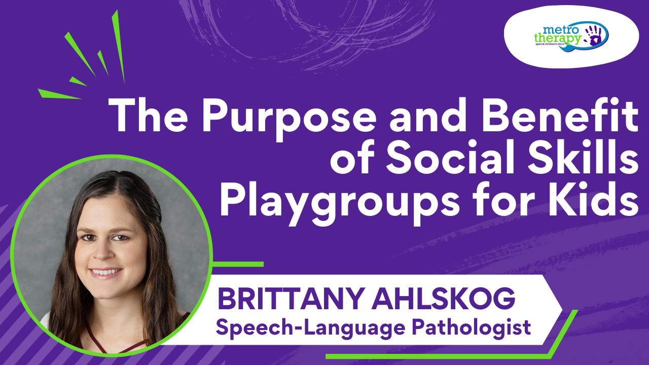 The Purpose and Benefit of Social Skills Playgroups for Kids