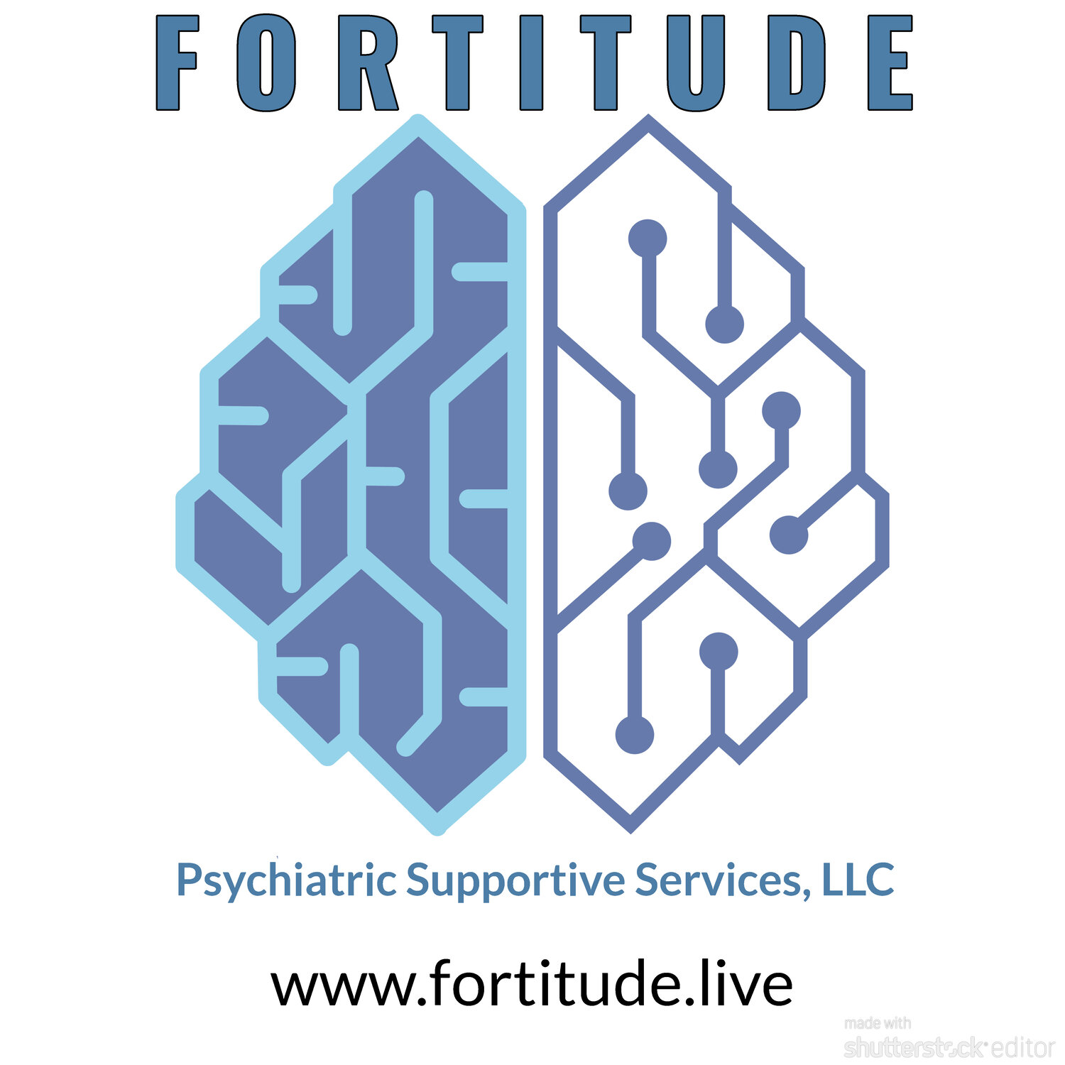 FORTITUDE  Psychiatric Supportive Services, LLC
