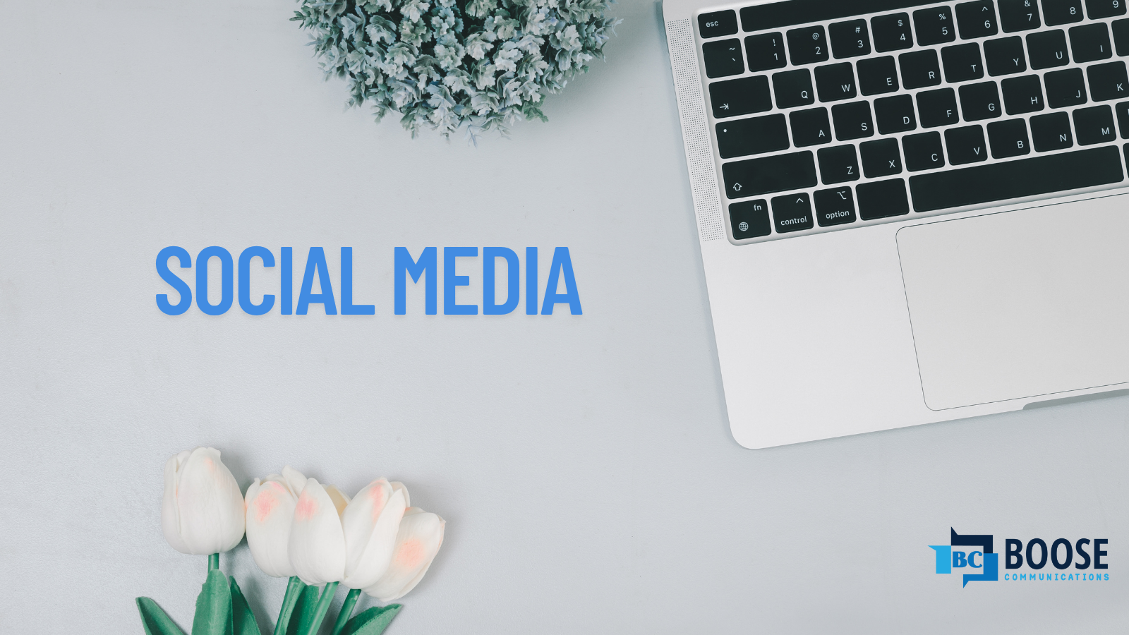 Social Media Services